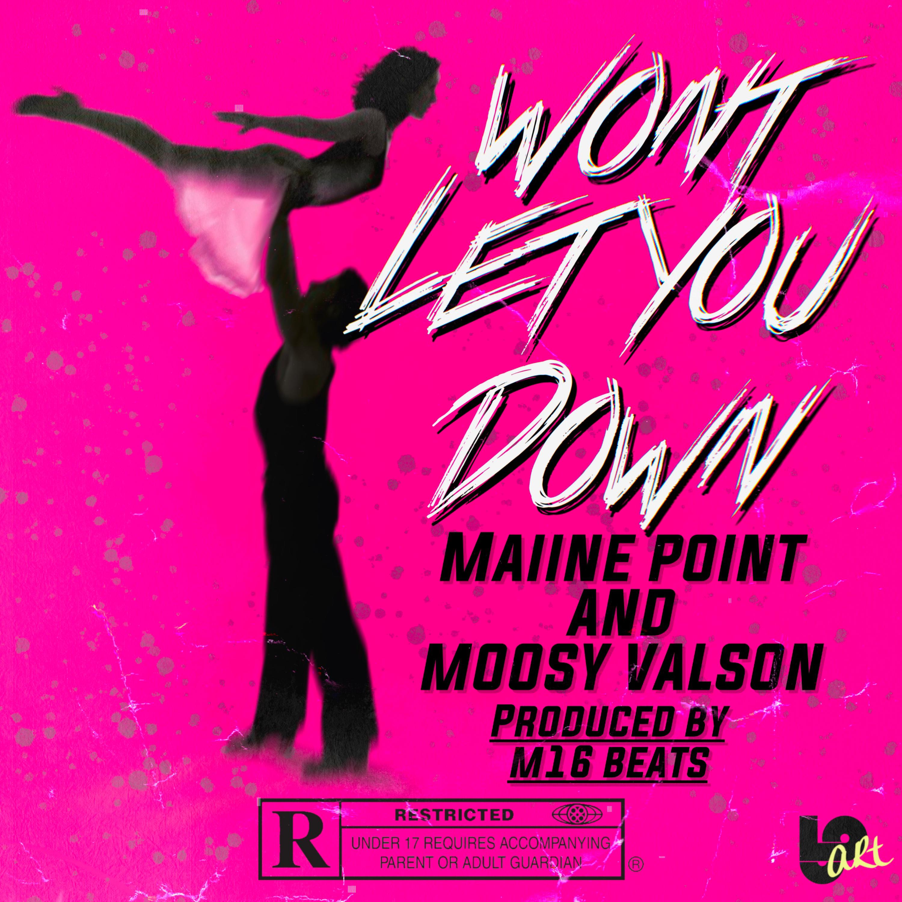 [Won't] Let You Down artwork