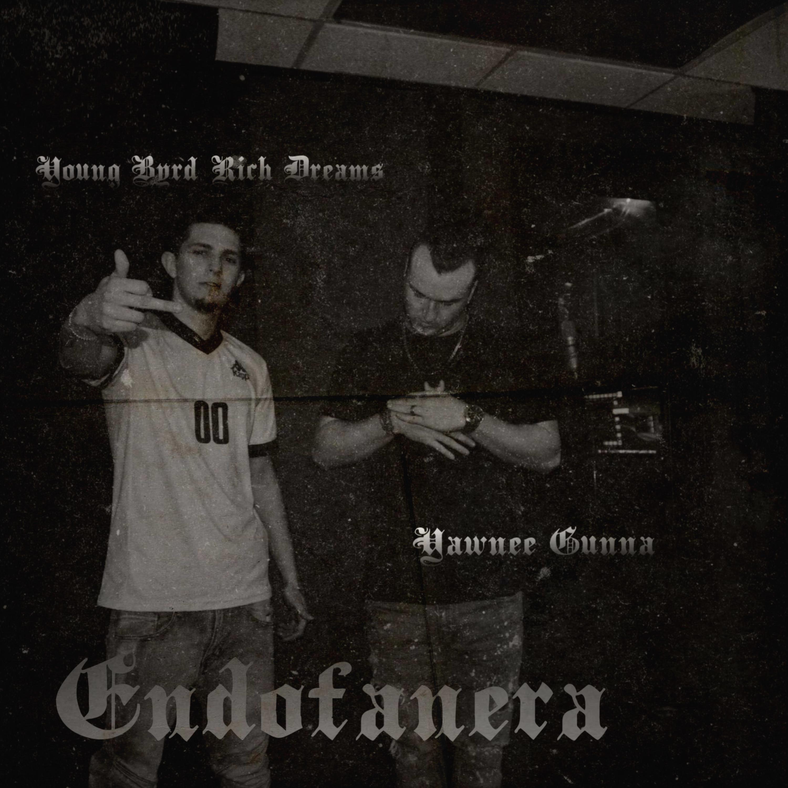 Endofanera artwork