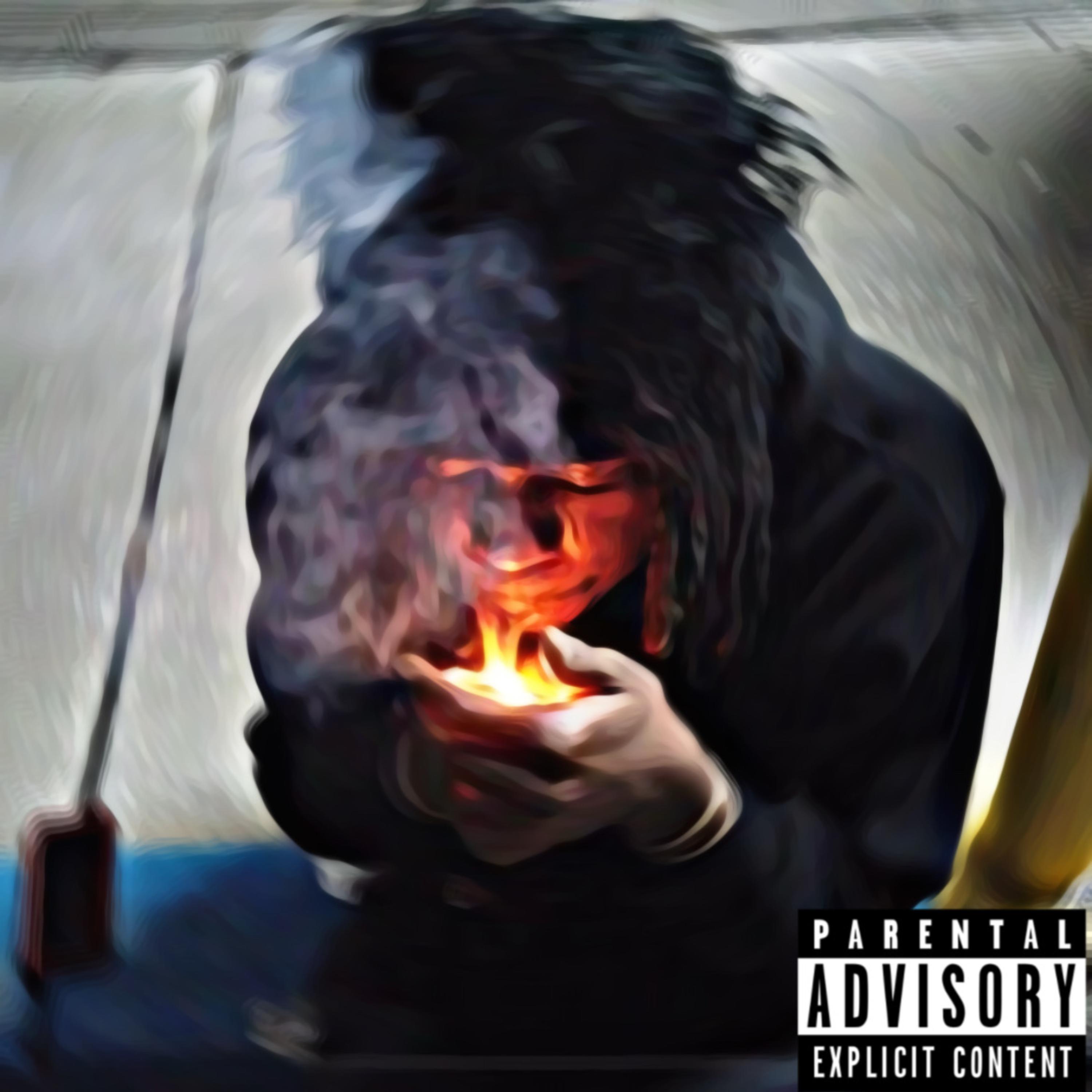 Zooted, Booted artwork