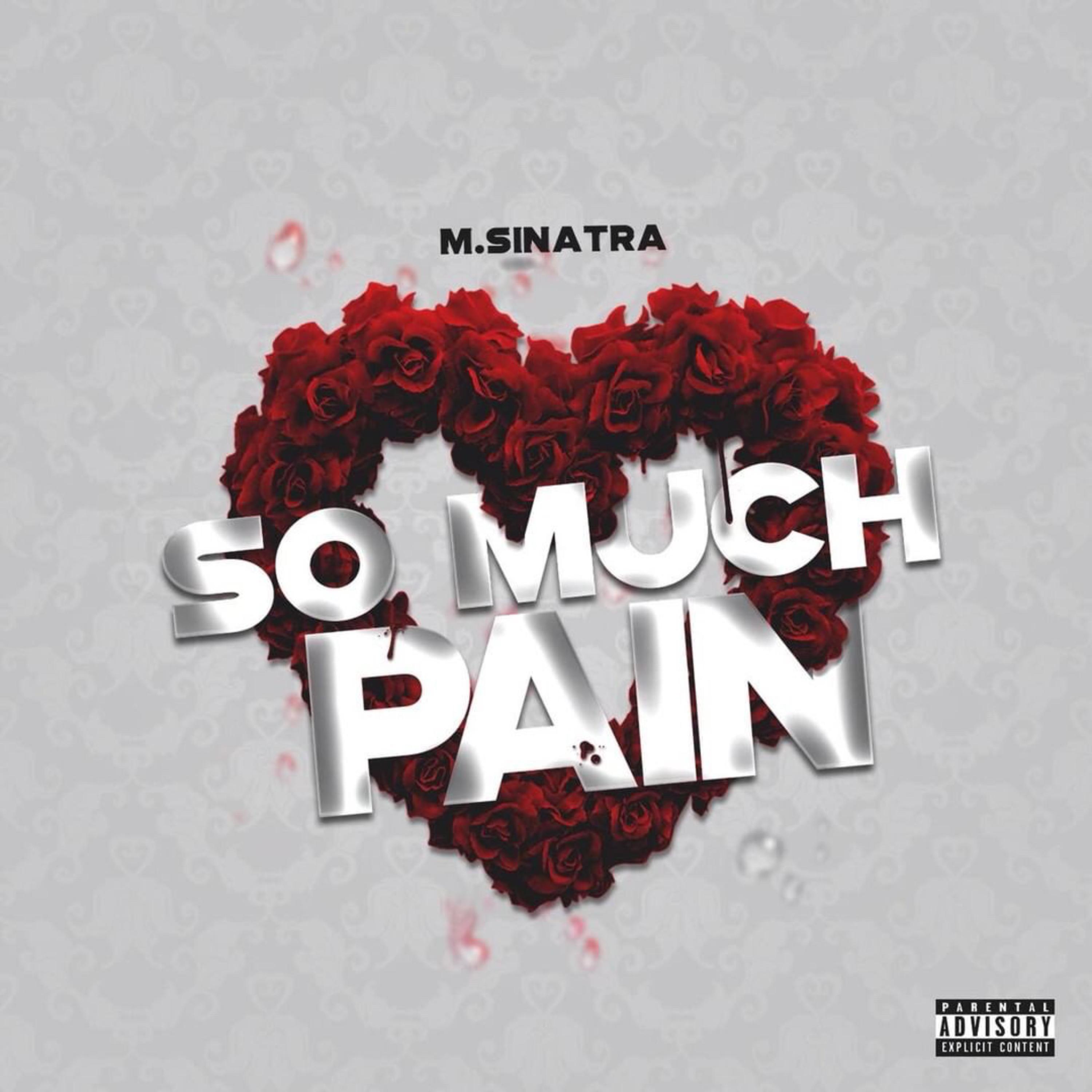 So Much Pain by VL Matt cover art