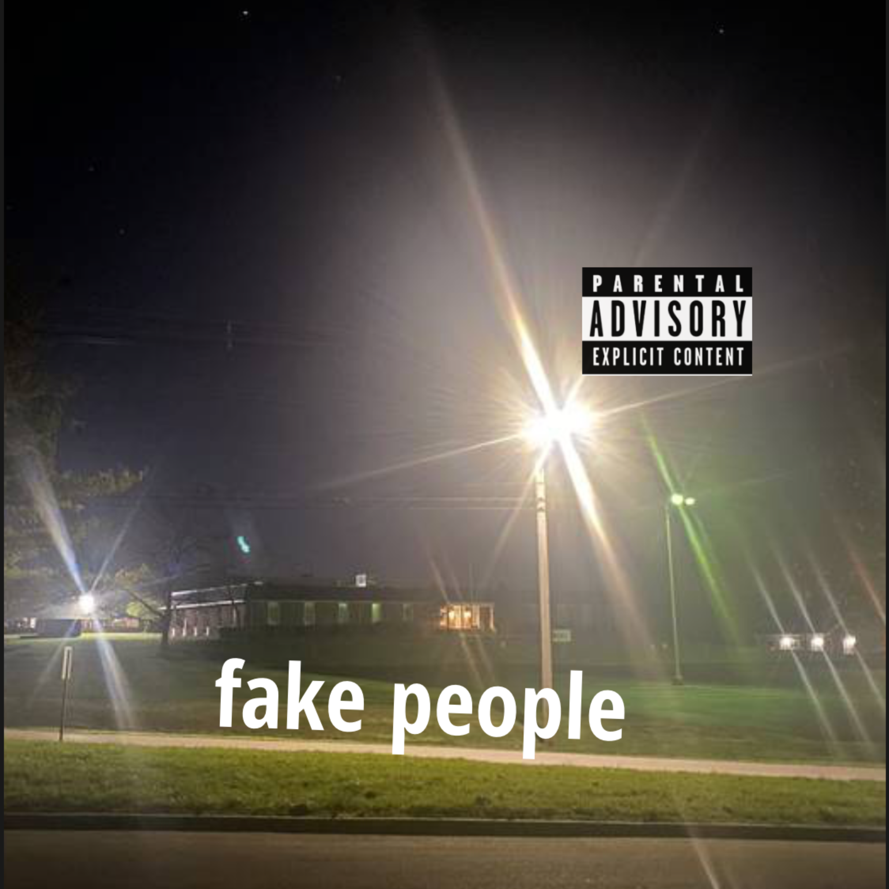 fake people artwork