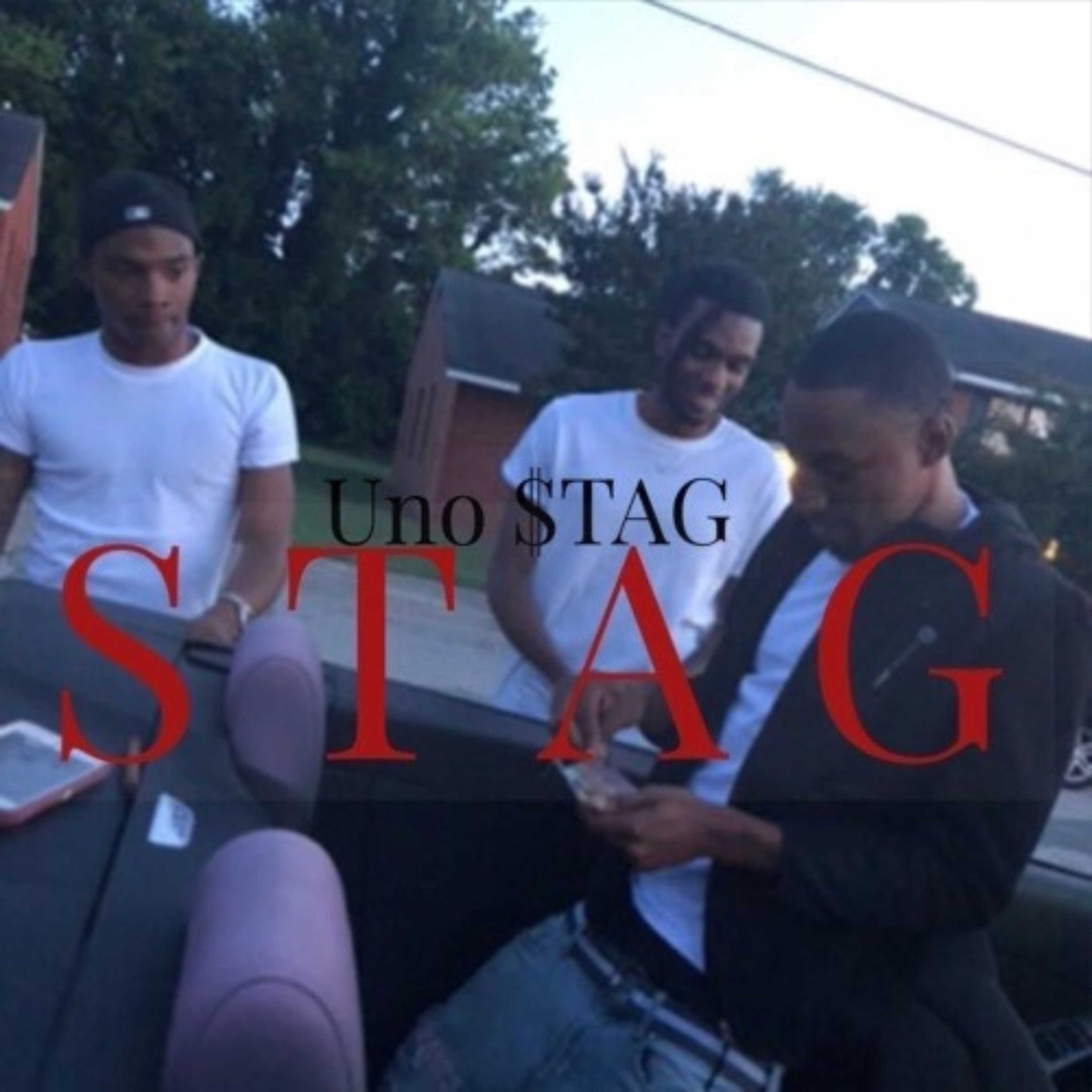 S T A G by Uno $TAG cover art