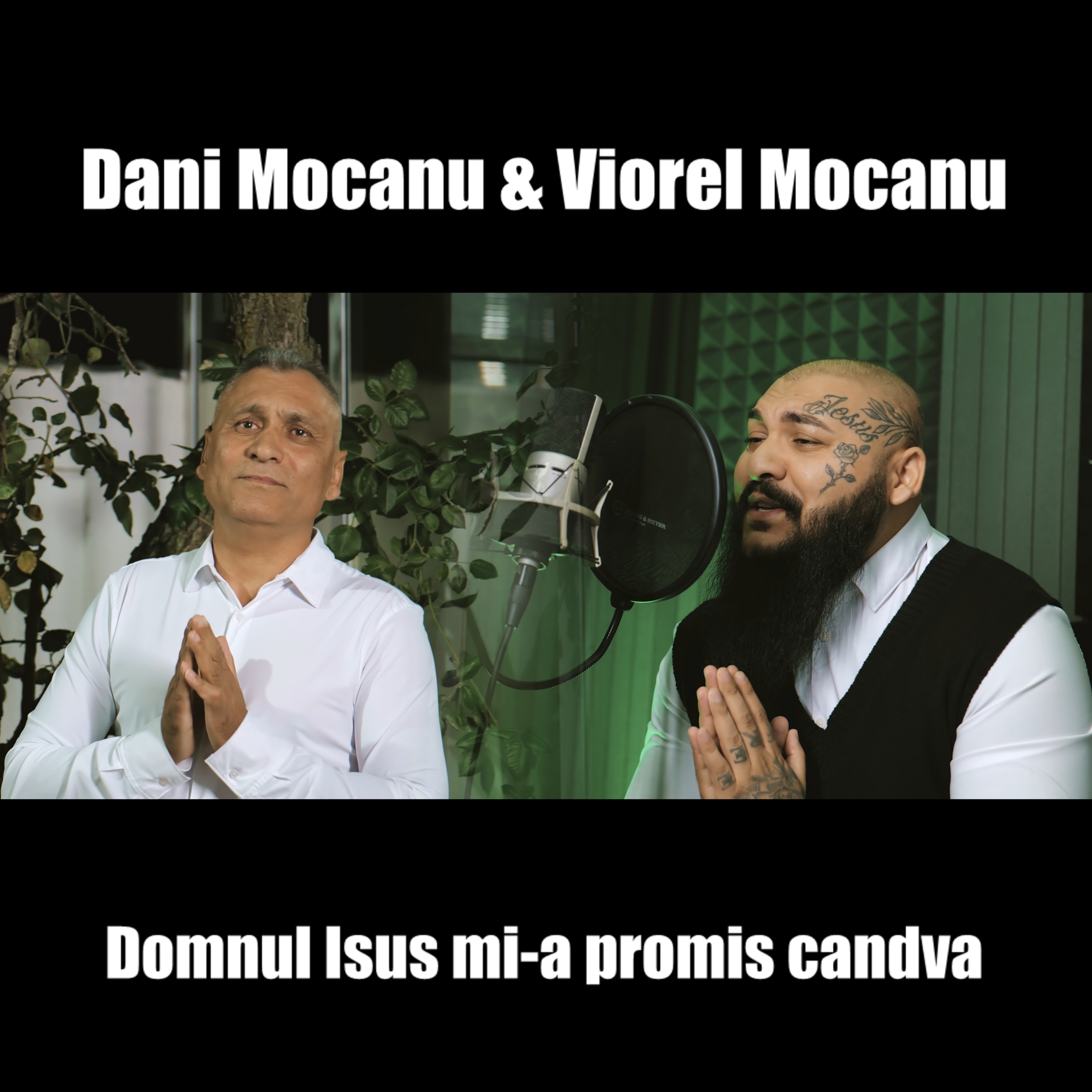 Domnul Isus mi-a promis candva artwork