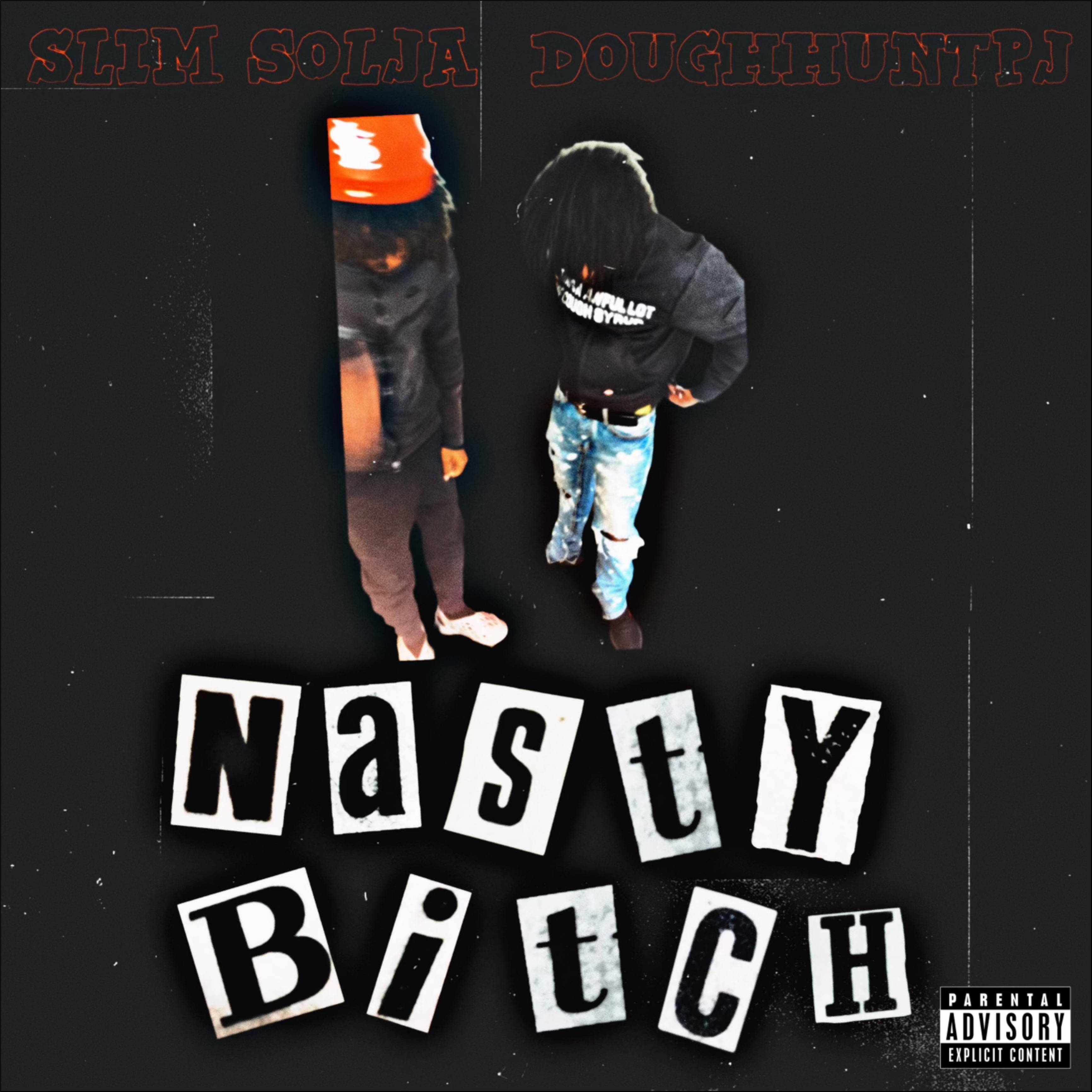 Nasty Bitch artwork
