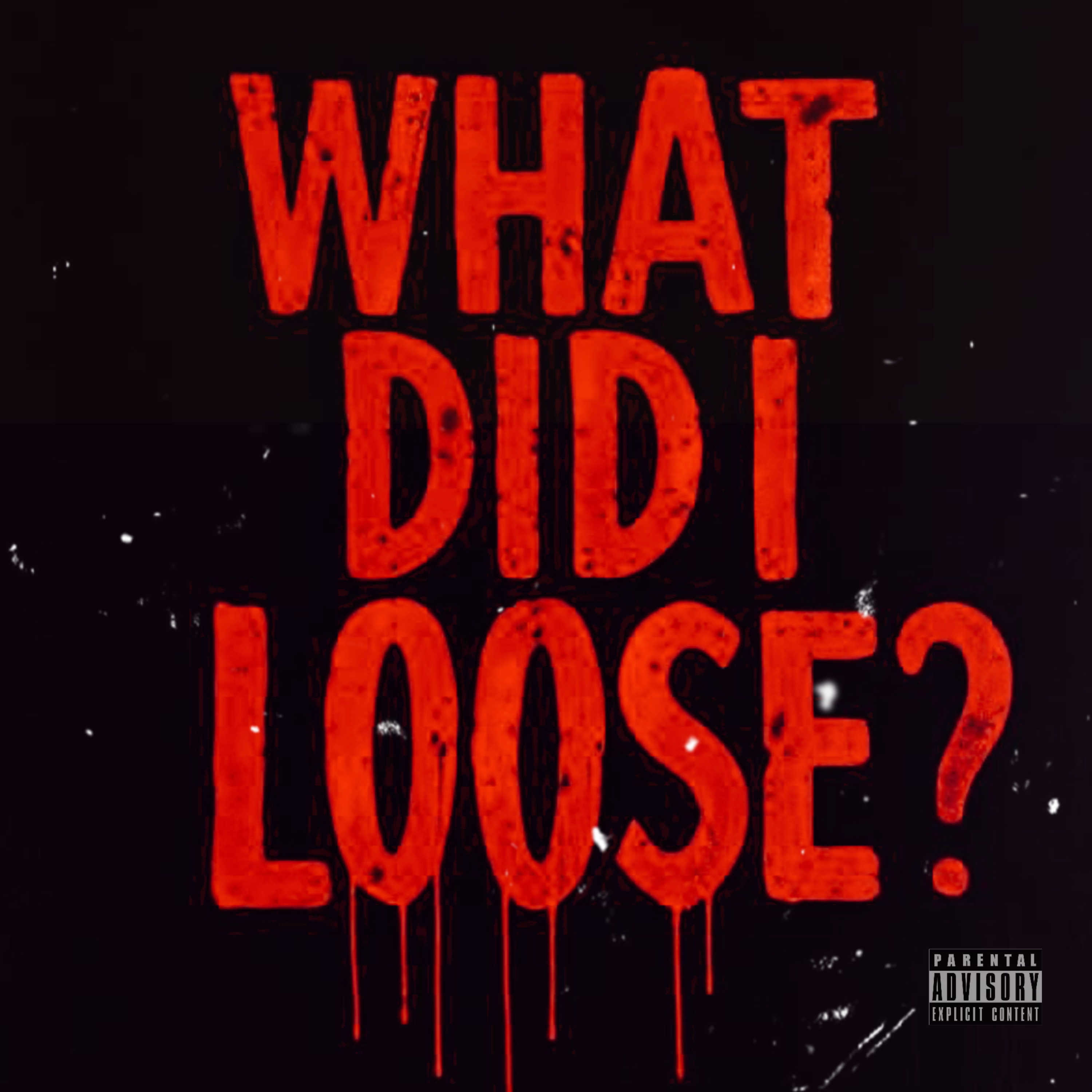 WHAT DID I LOOSE ? by MONEYA$H cover art