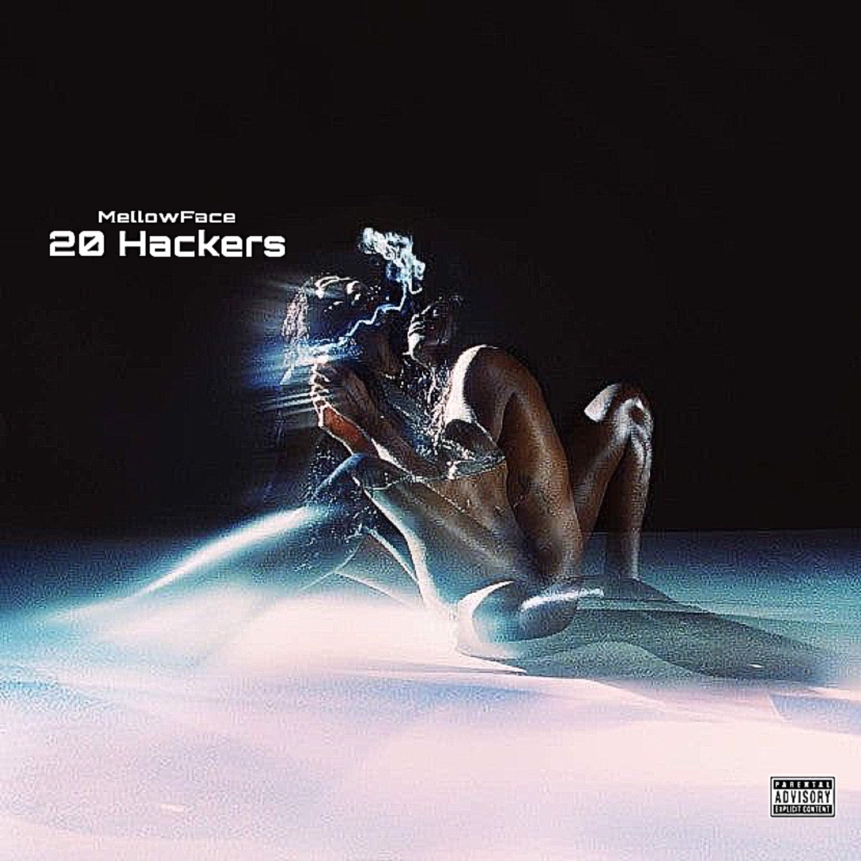 20 Hackers artwork