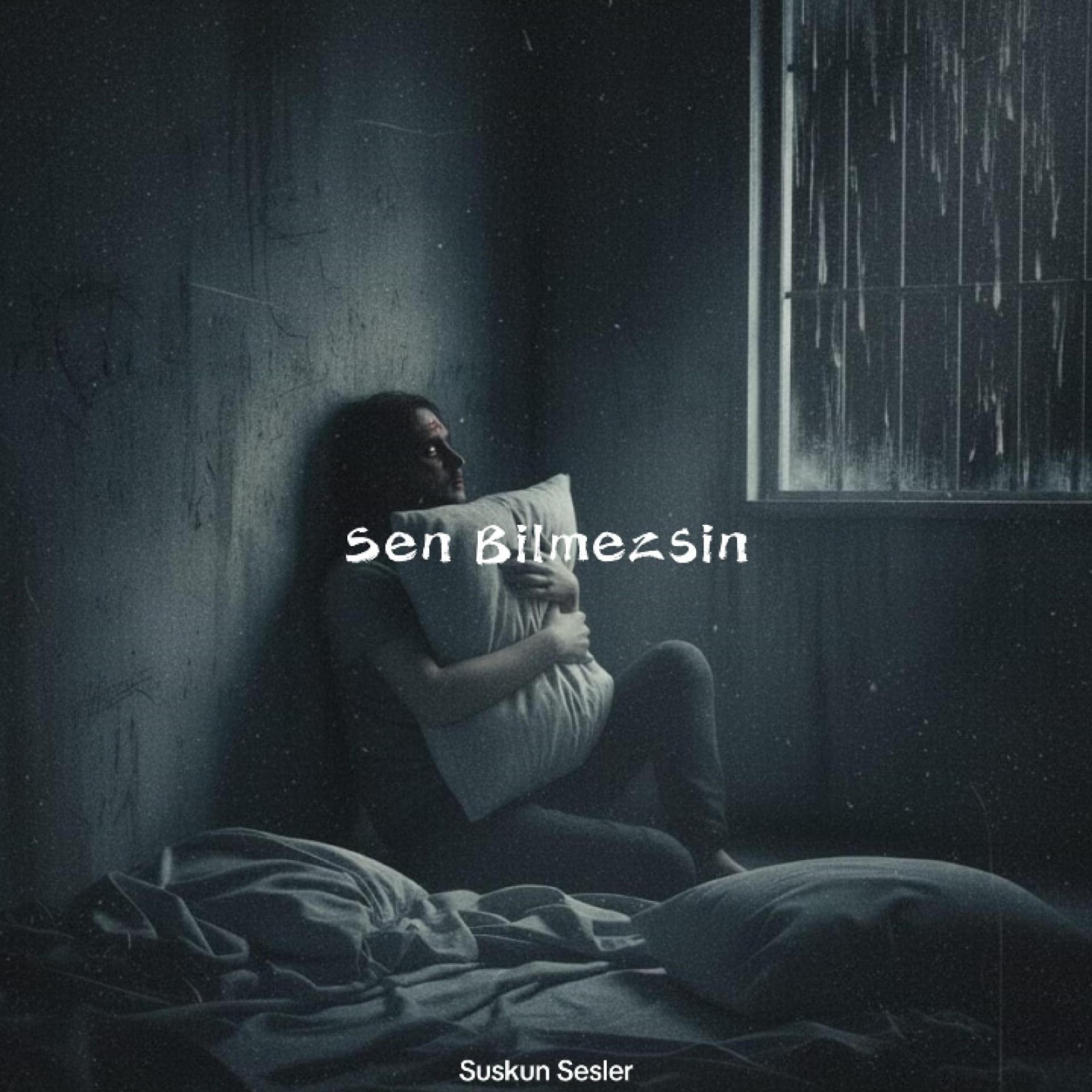 Sen Bilmezsin by Suskun Sesler cover art