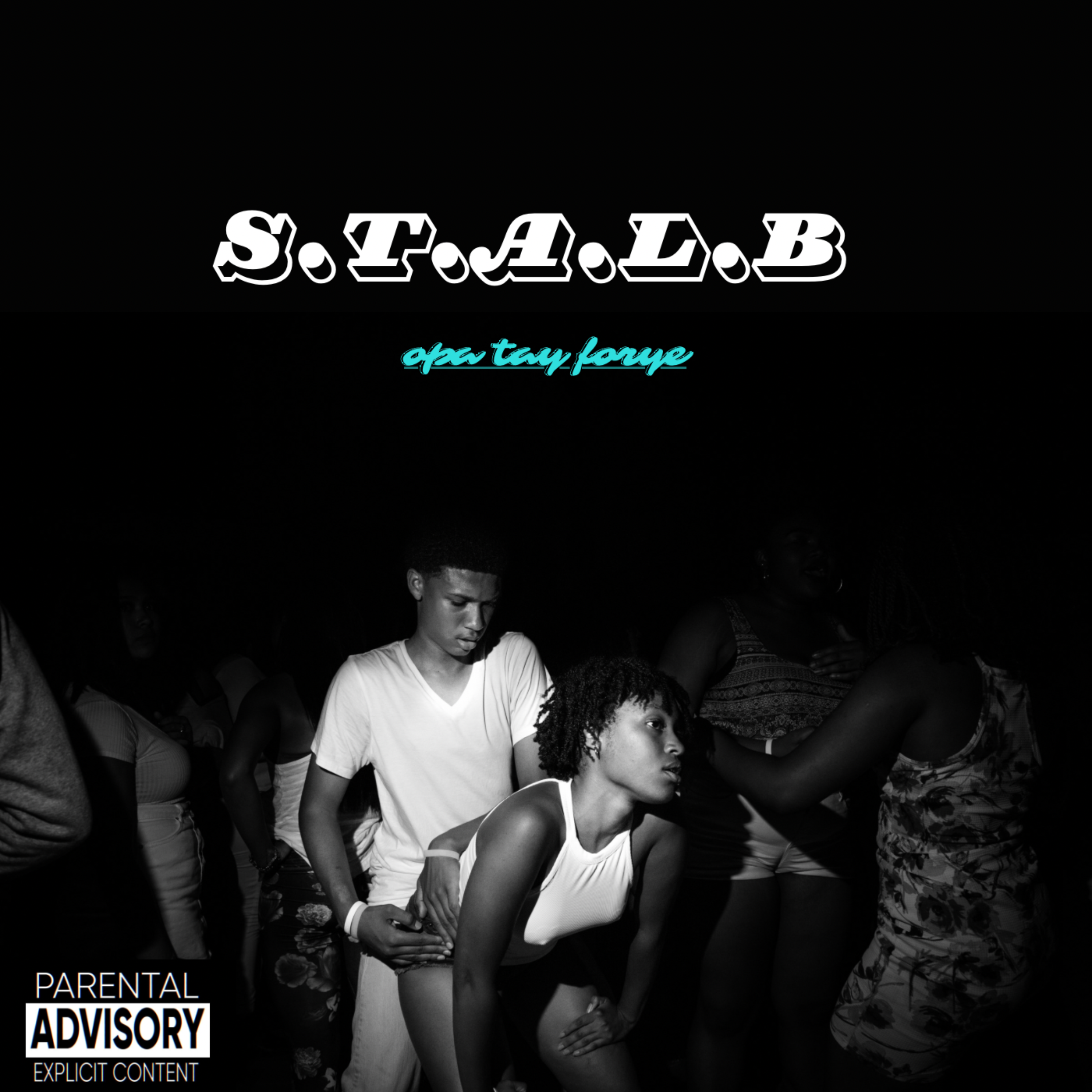 S.T.A.L.B (Shake That Ass Lil Bitch) by OPA Tay Forye cover art