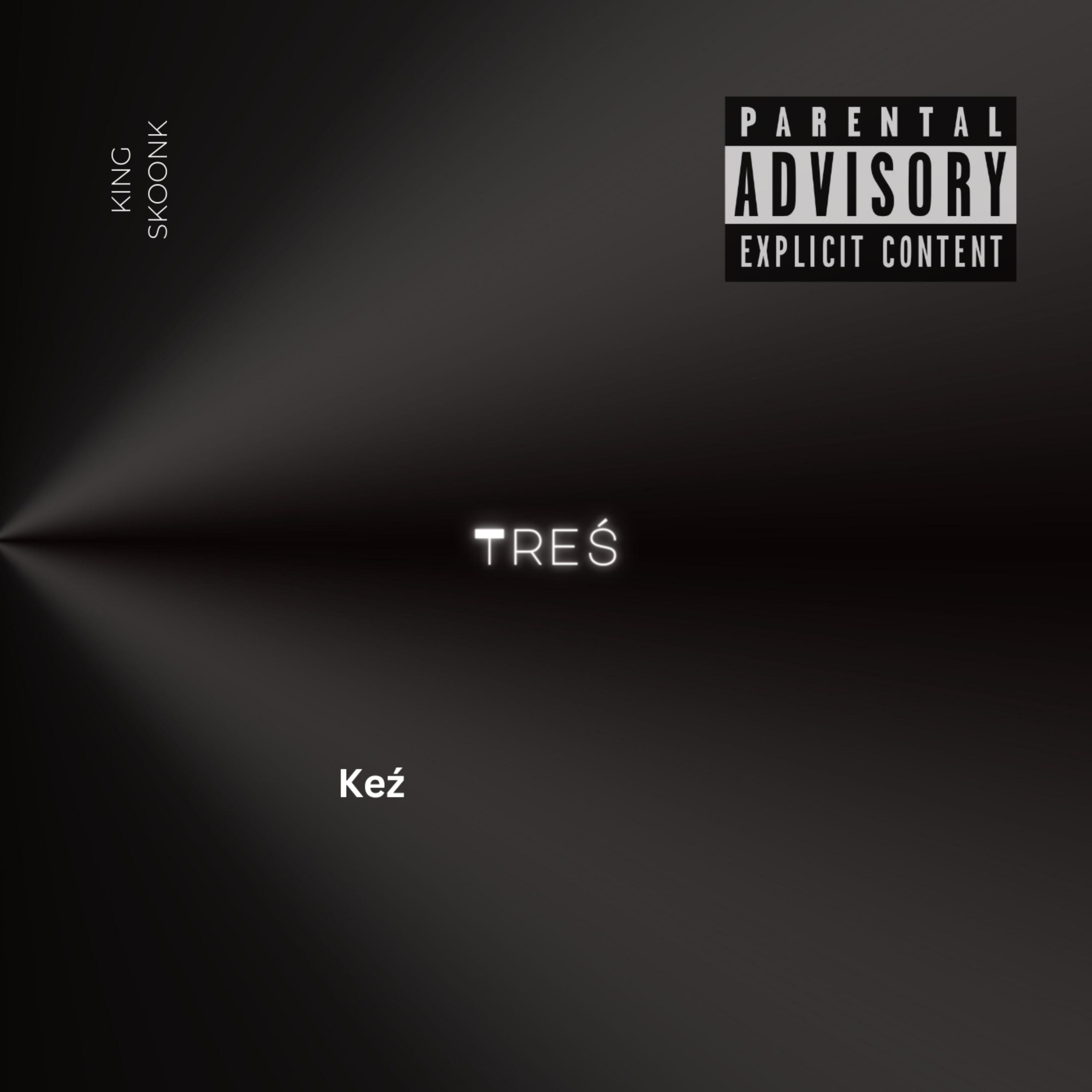 Treś Freestyle by King Skoonk cover art