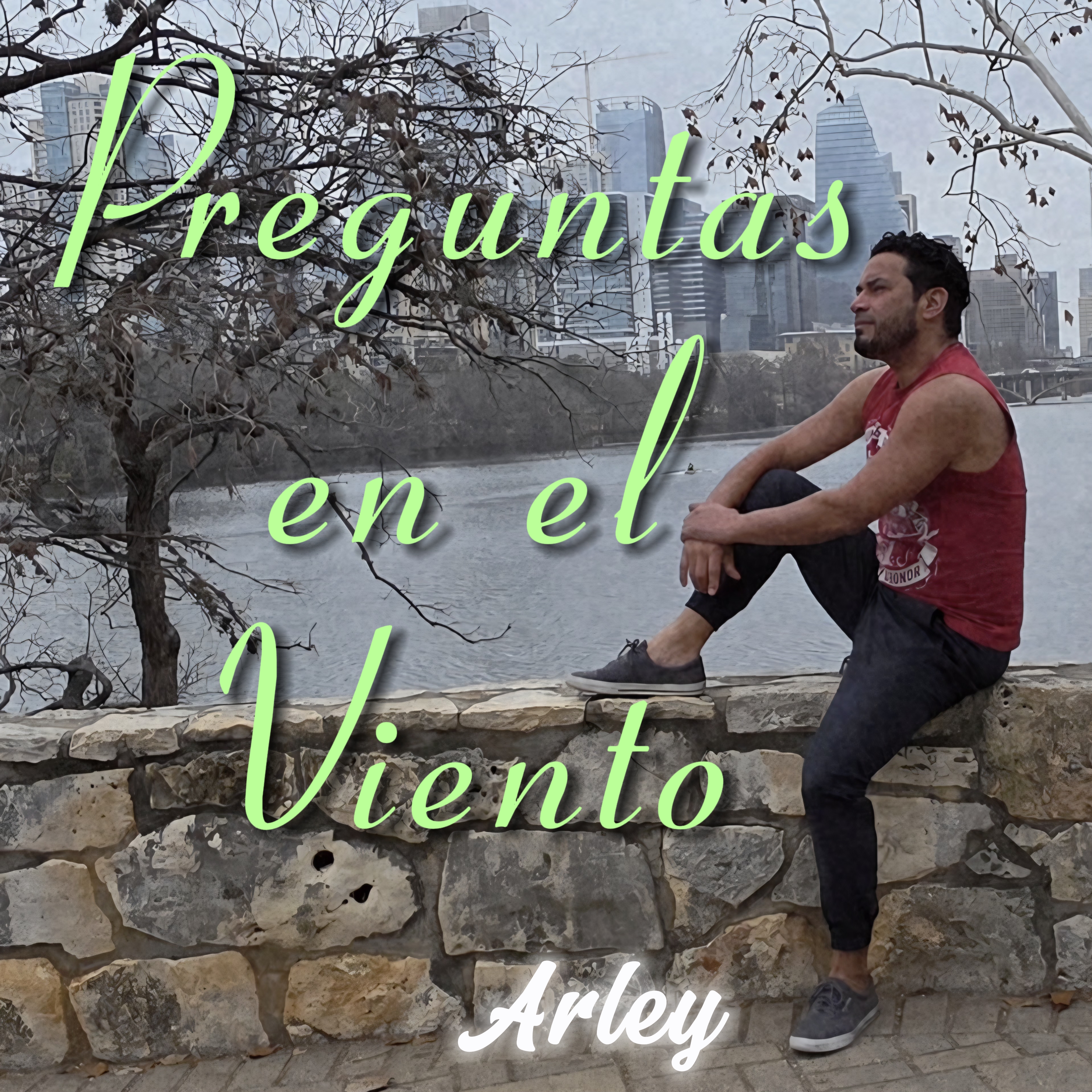 Preguntas en el Viento artwork