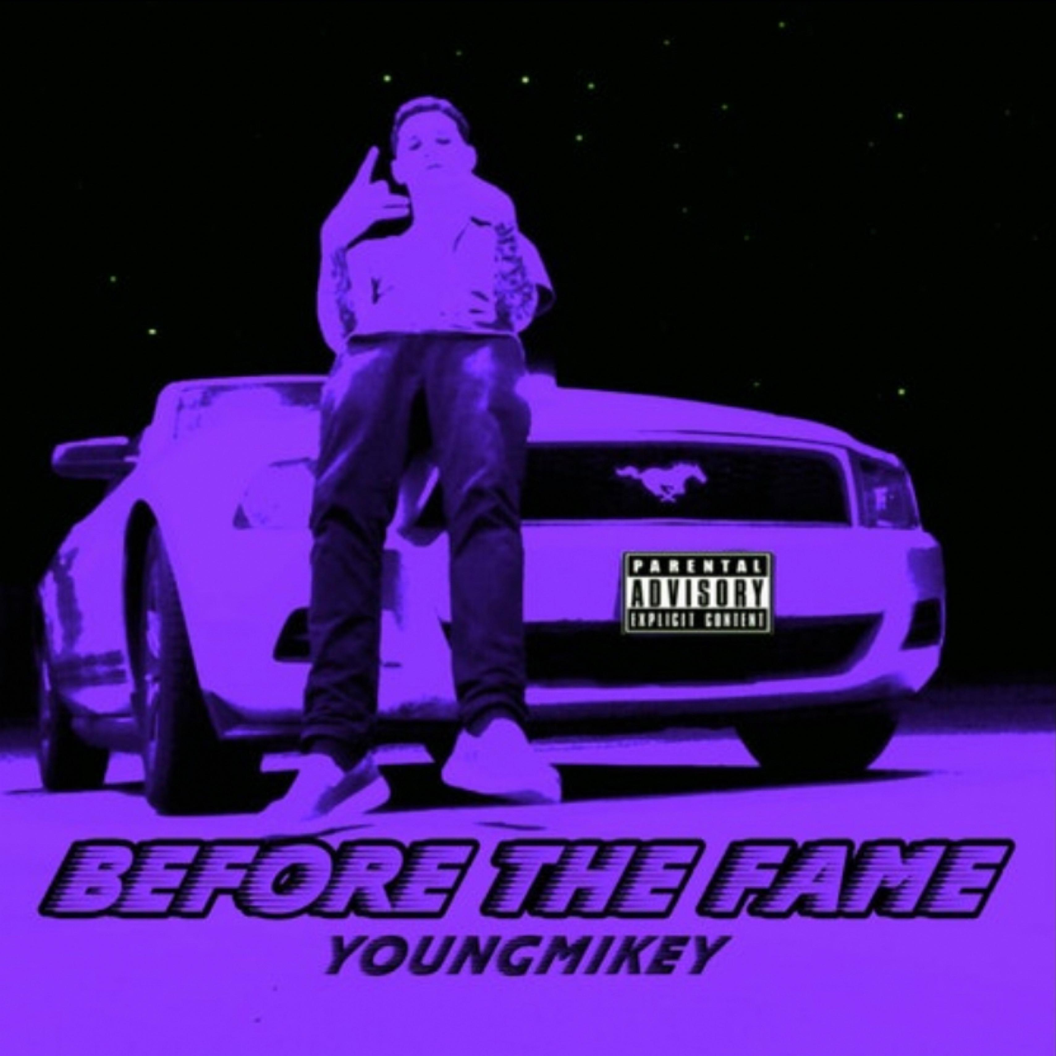 Before The Fame artwork