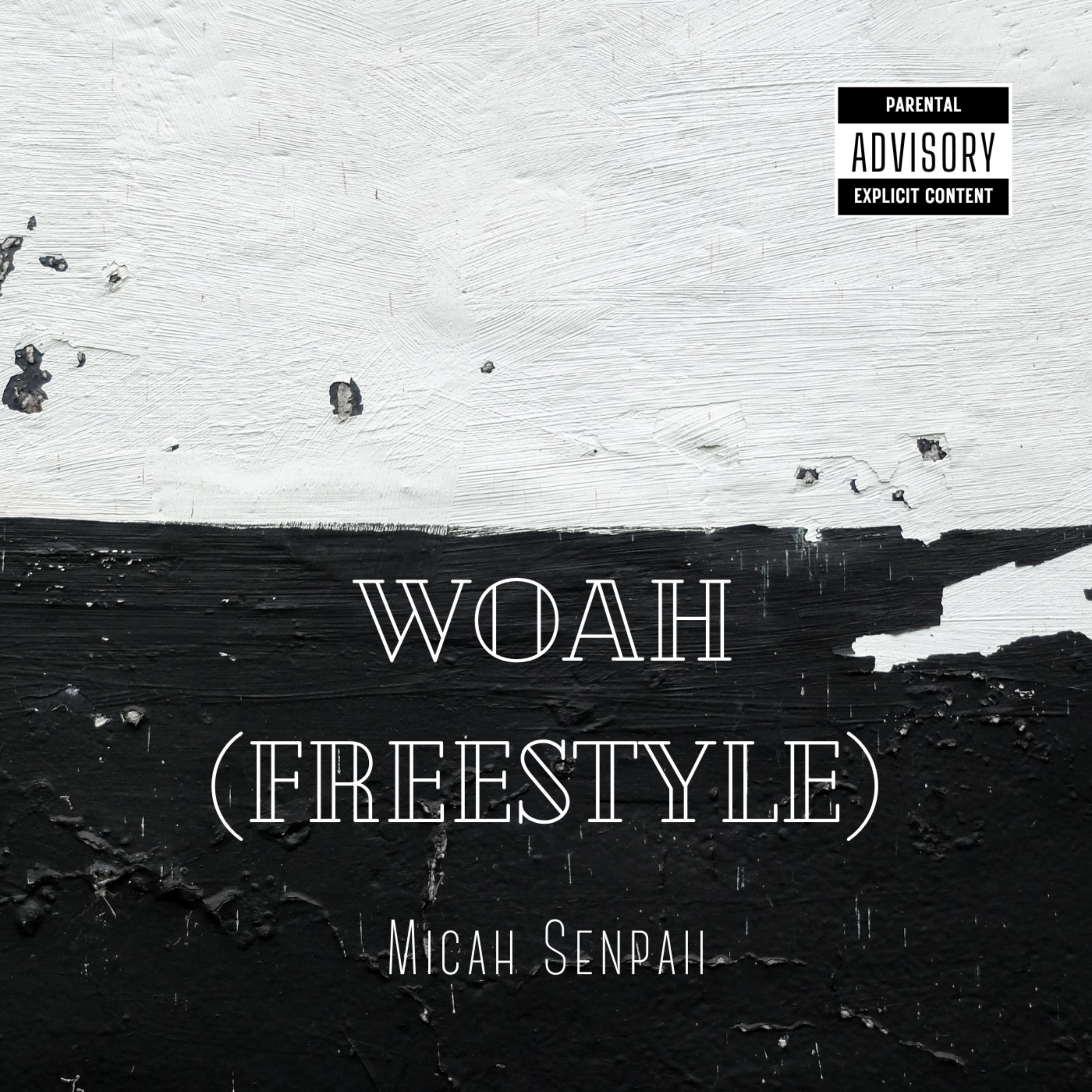 Woah (Freestyle) artwork