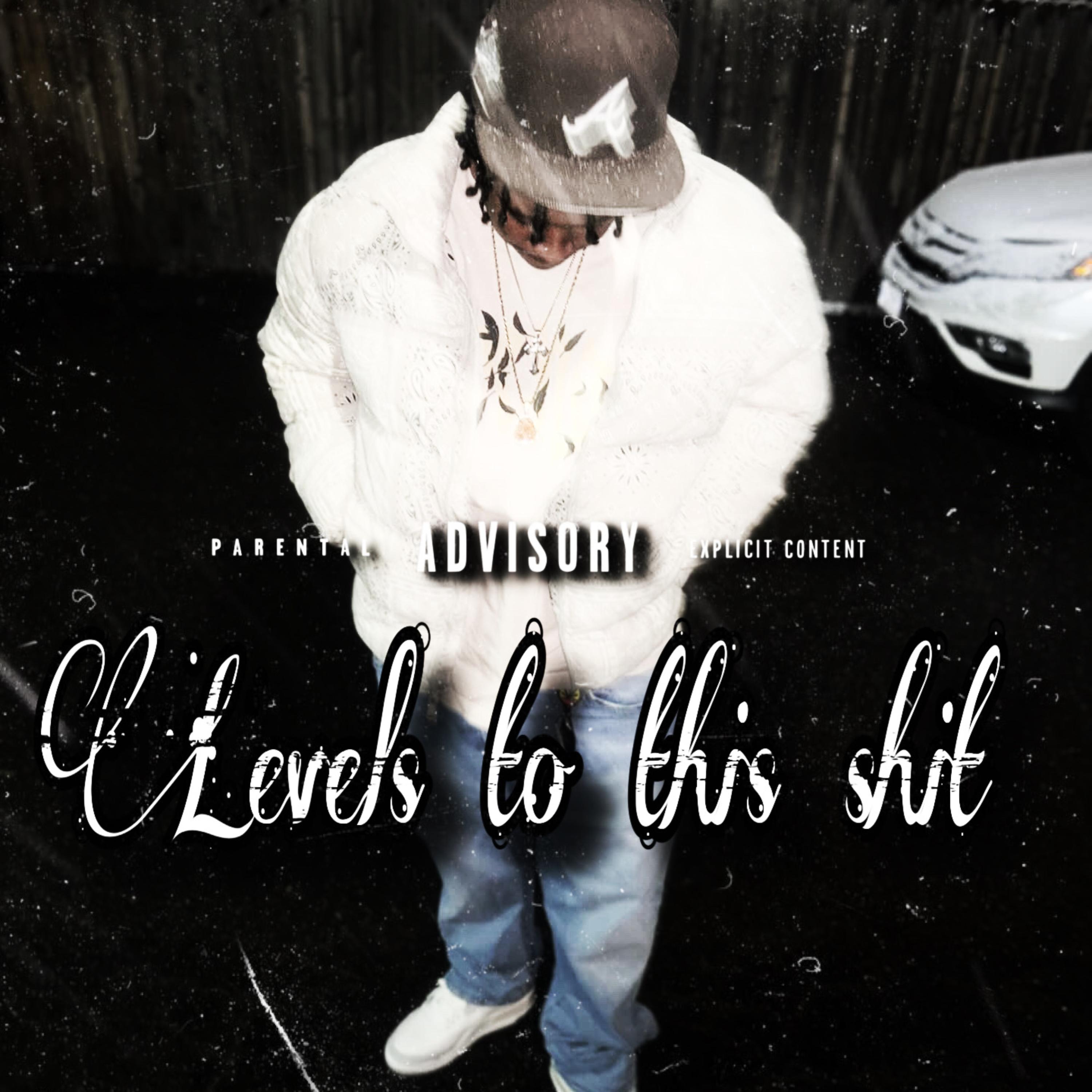 Levels To This Shit artwork