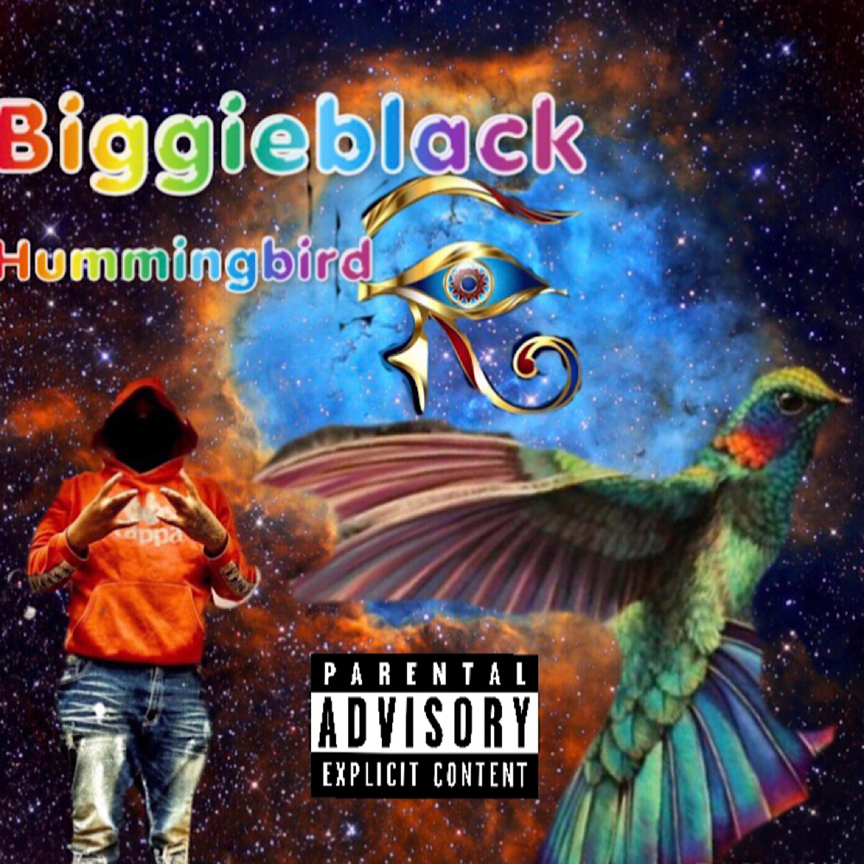 Hummingbird by Biggieblack cover art
