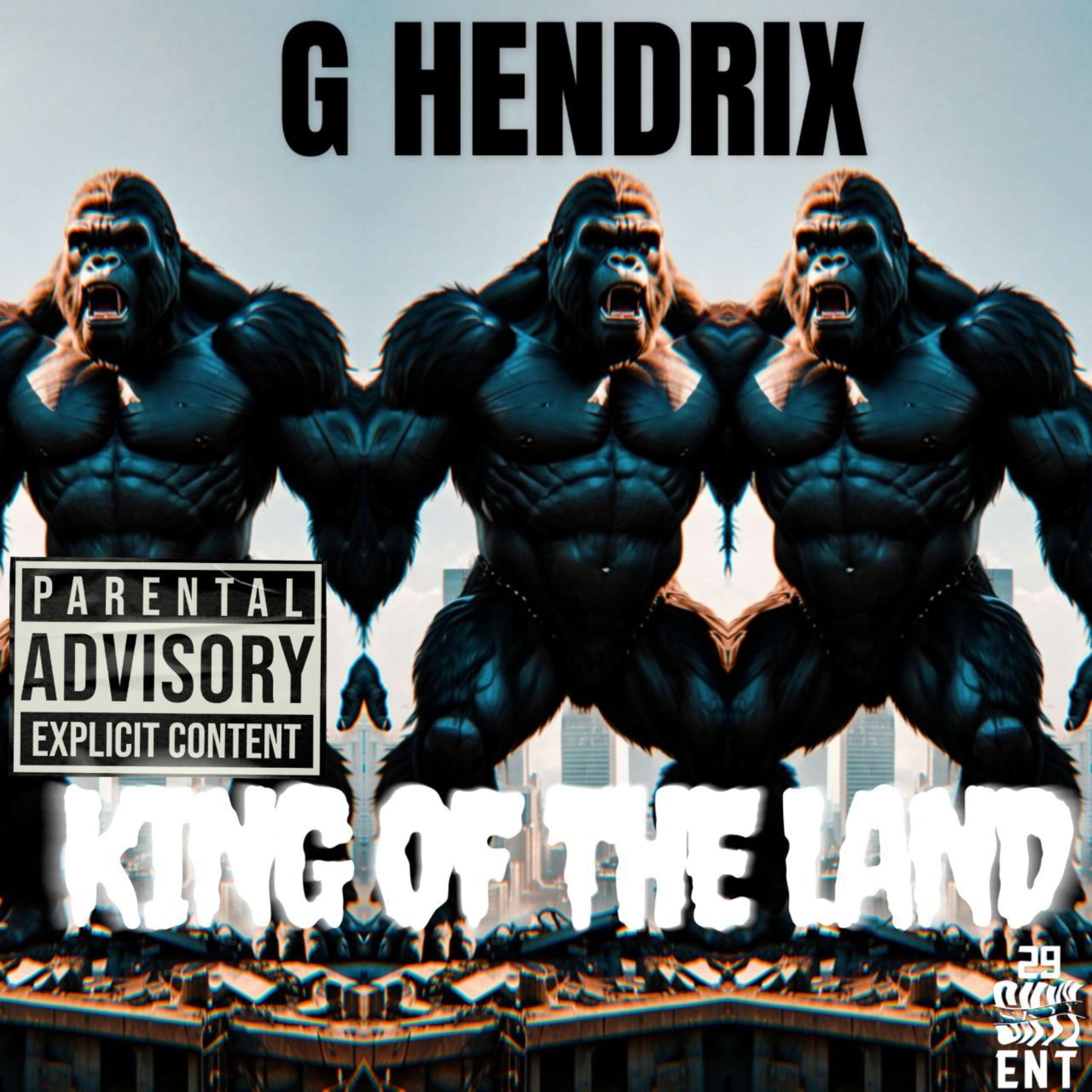King Of The Land artwork