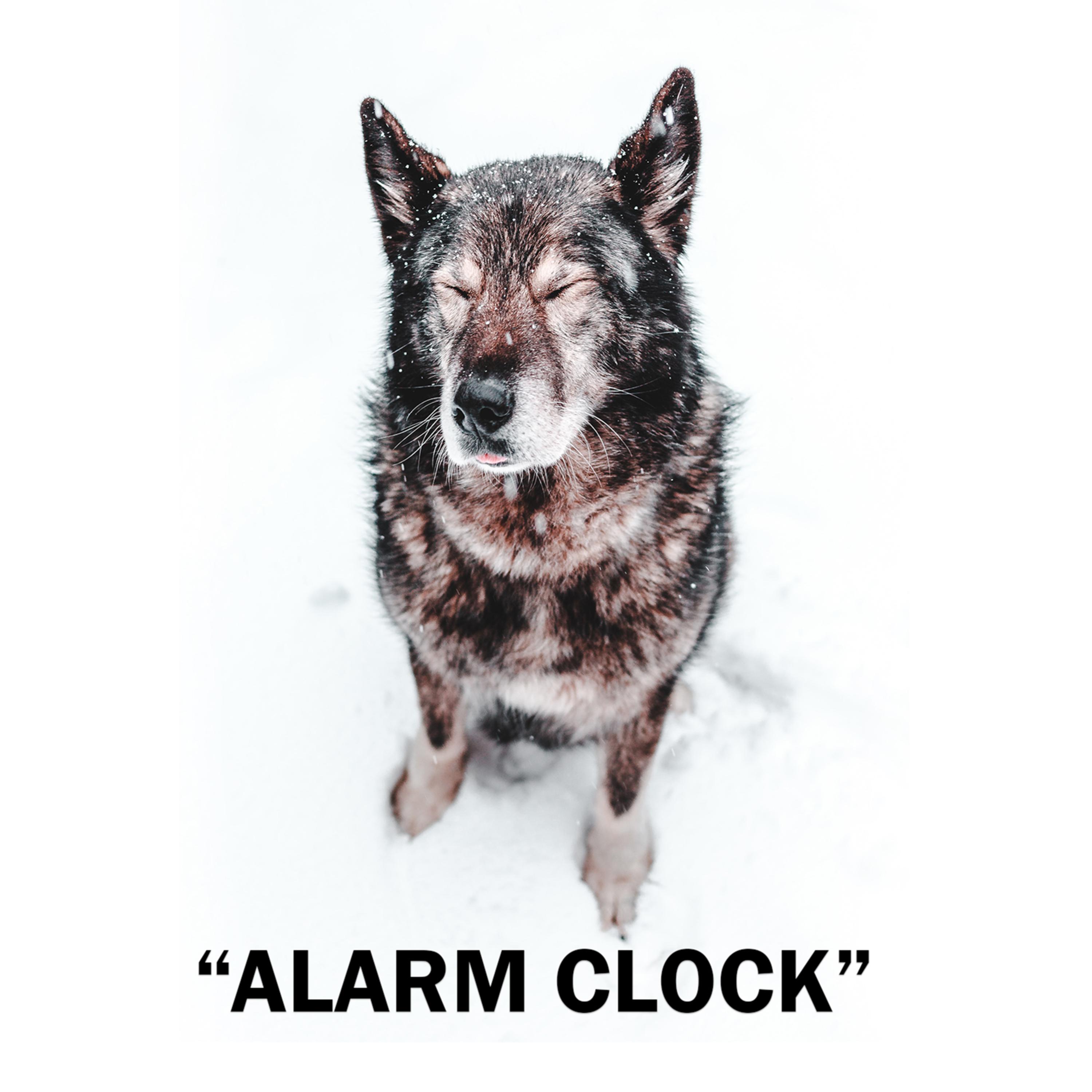 Alarm Clock by Anthony the Astronaut cover art
