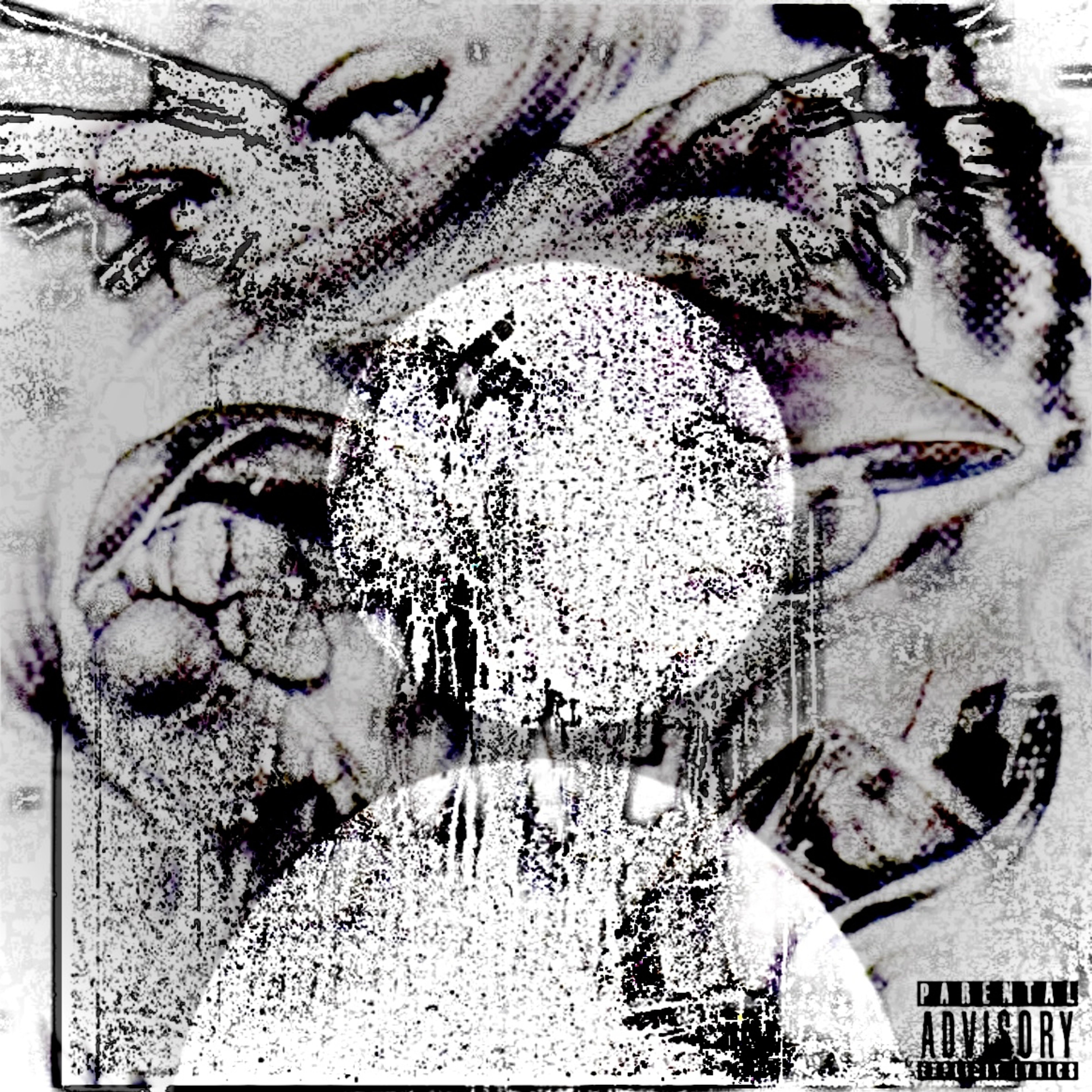 Cold Shoulders Early Mornings artwork