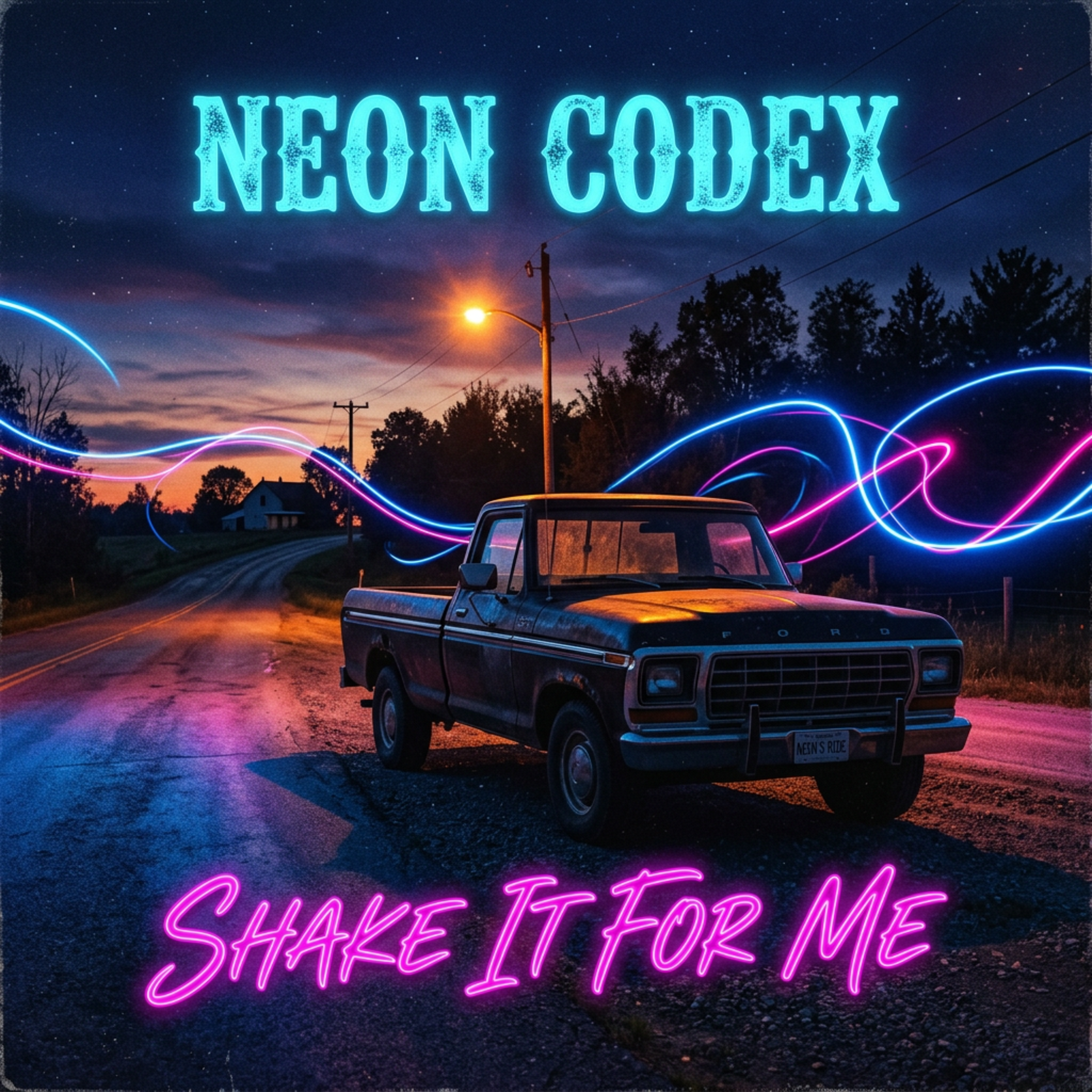 Shake It For Me artwork