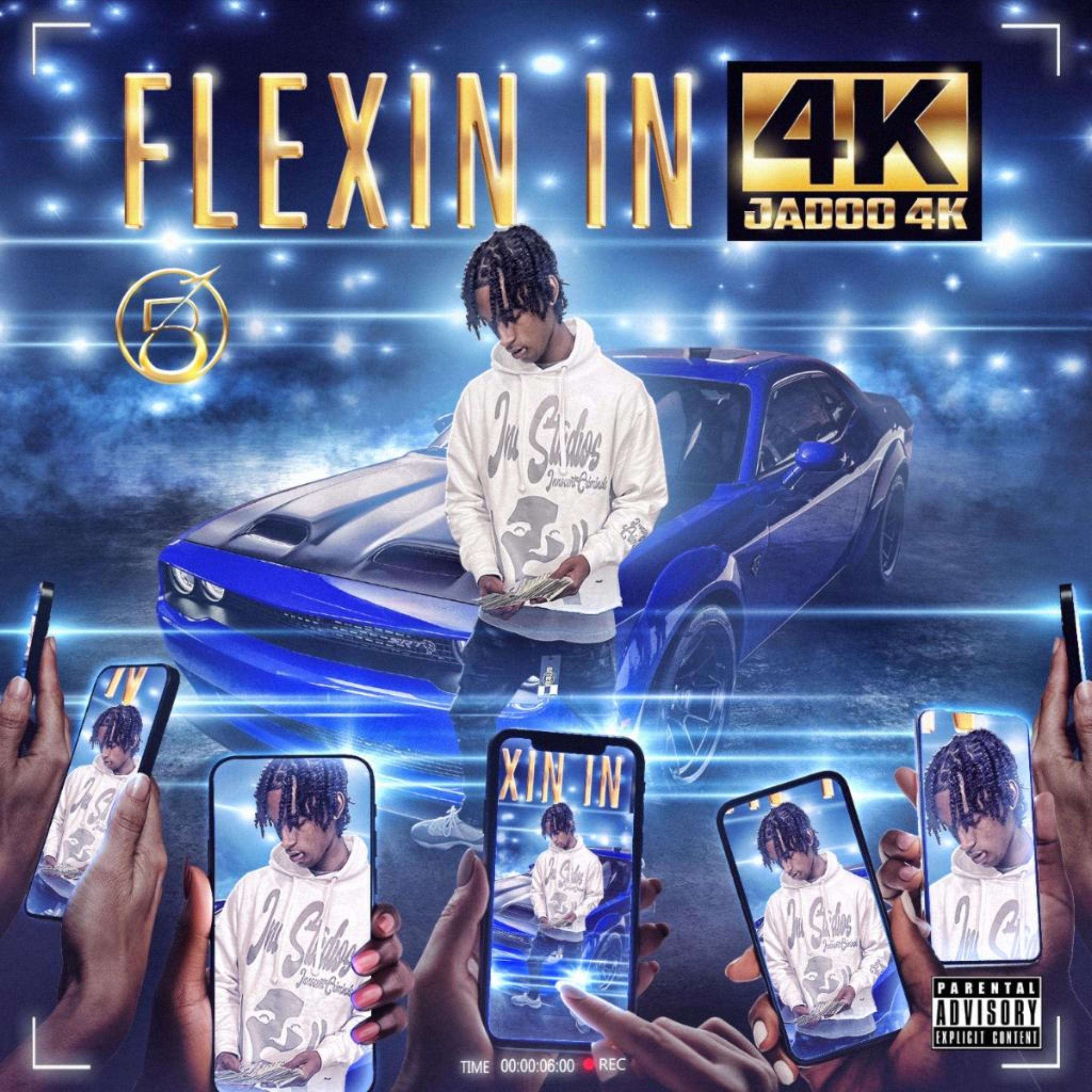 Flexin In 4K artwork