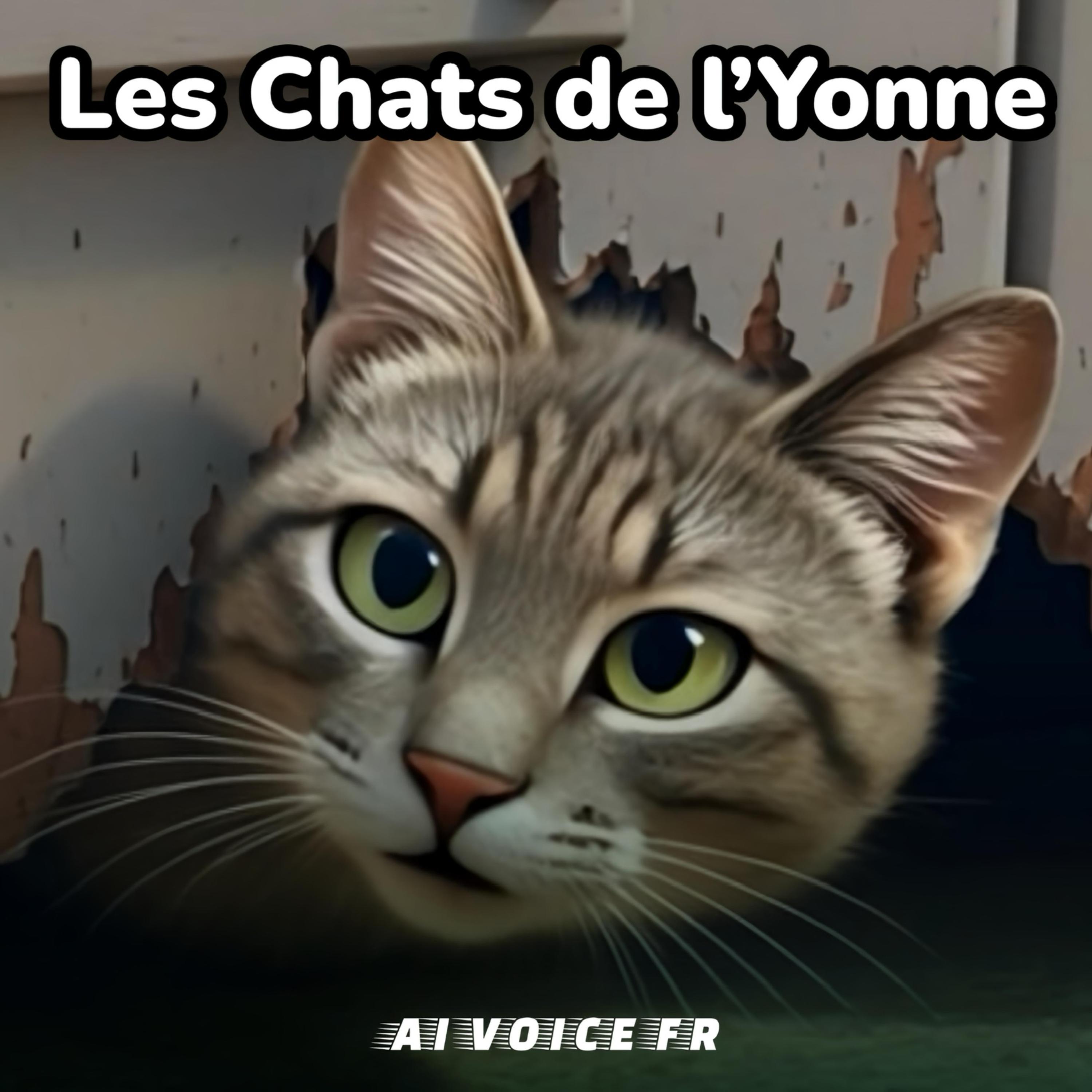 Les Chats De L’yonne artwork