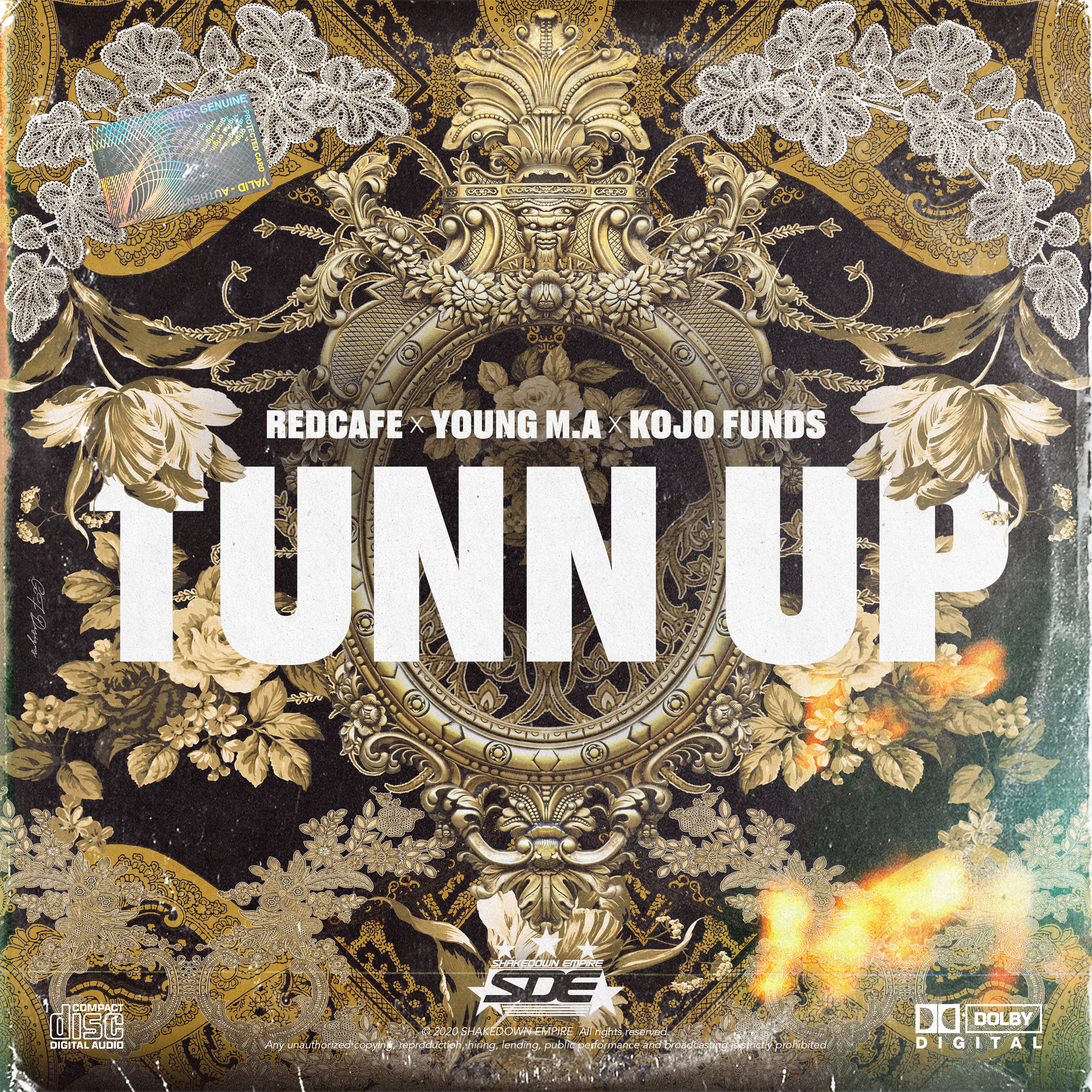 TUNN UP artwork