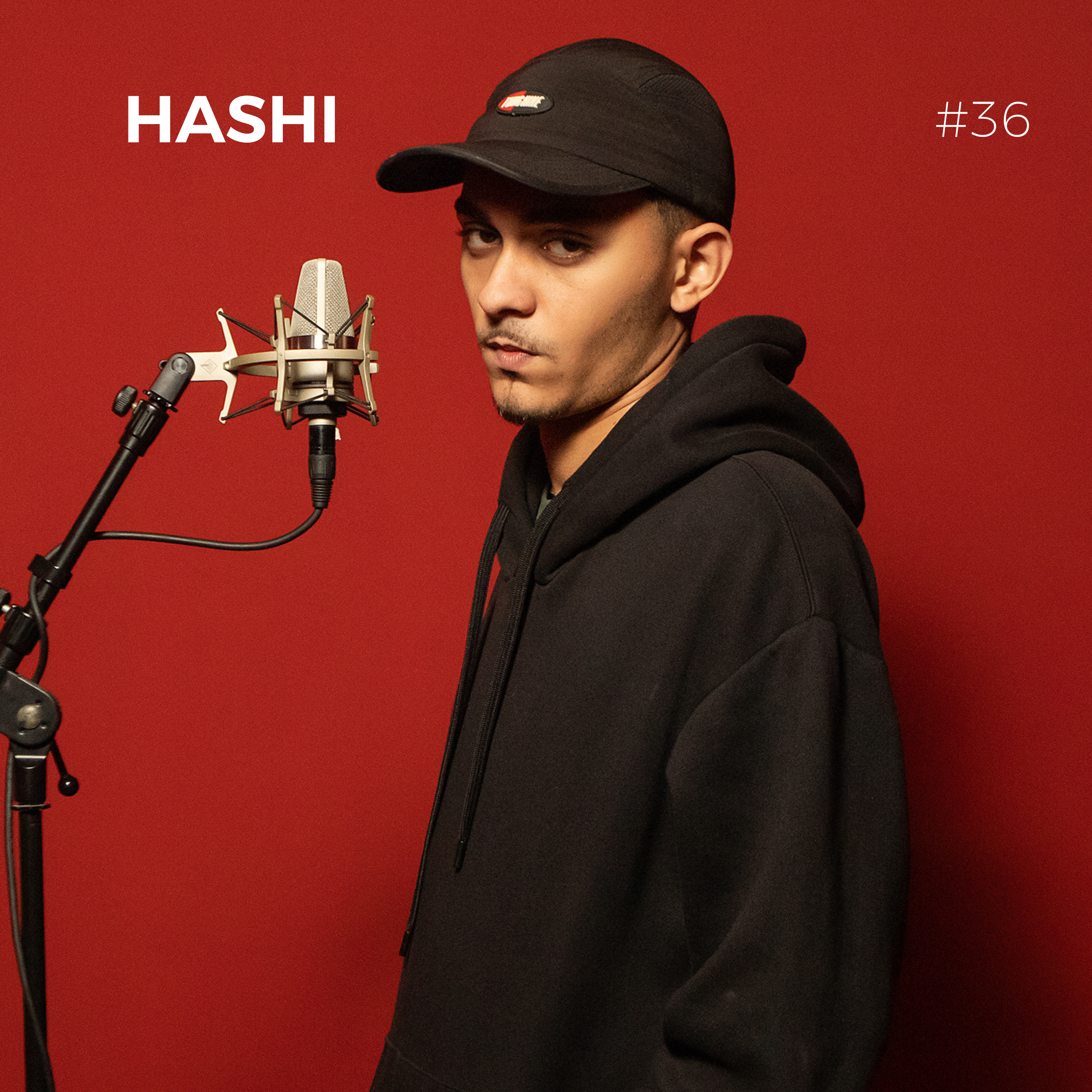 SALA VERMELHA #36 - Hashi artwork