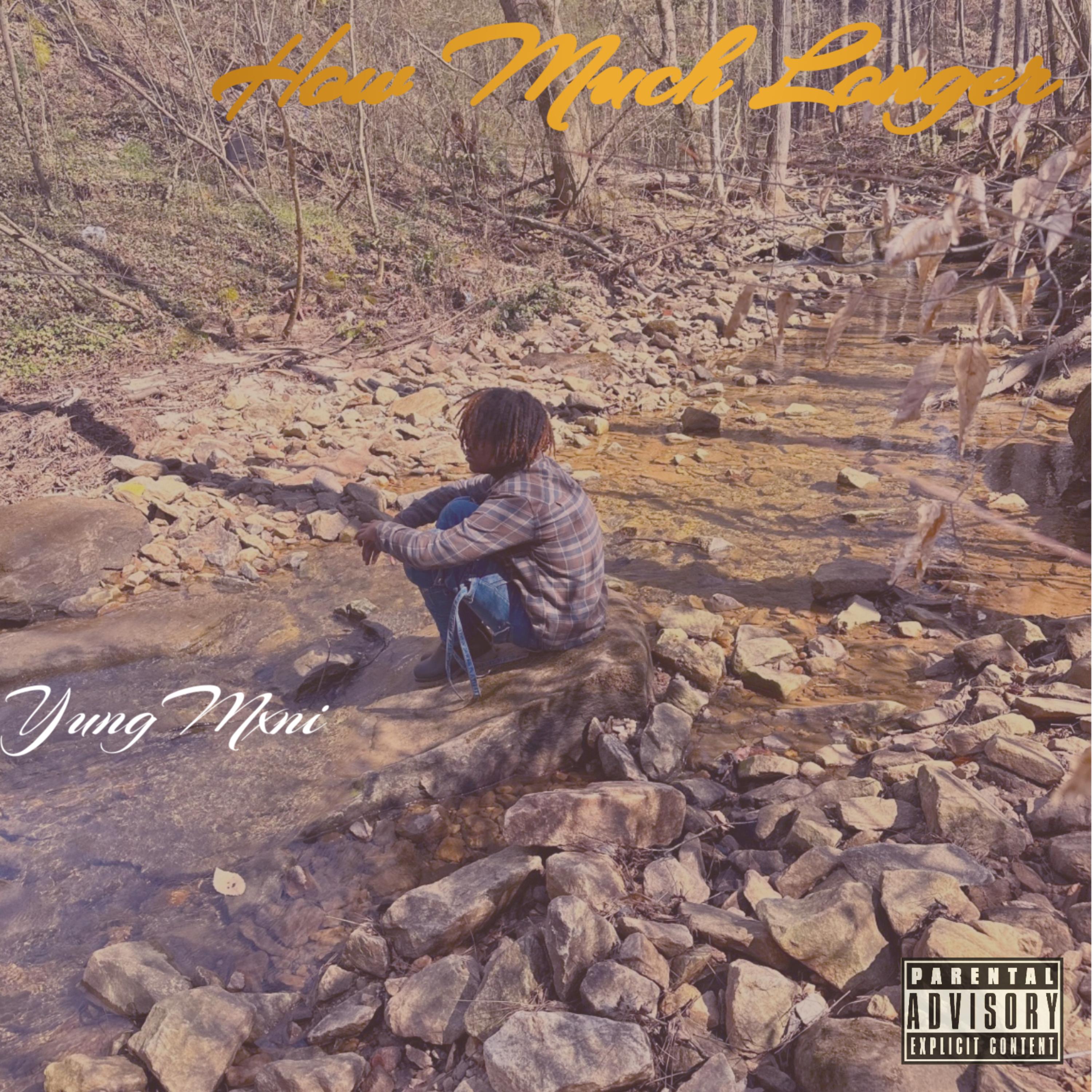 How Much Longer artwork