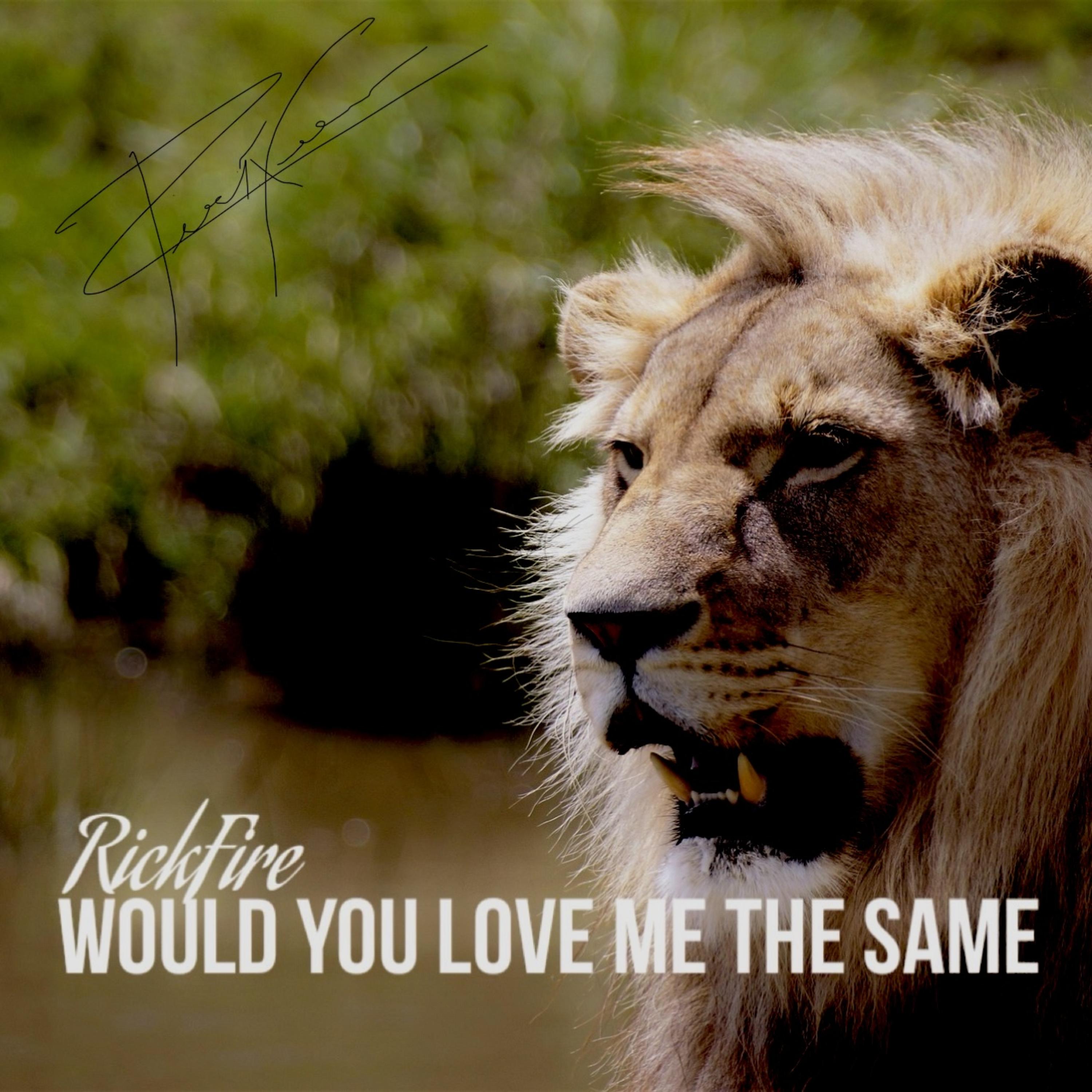 Would You Love The Same artwork