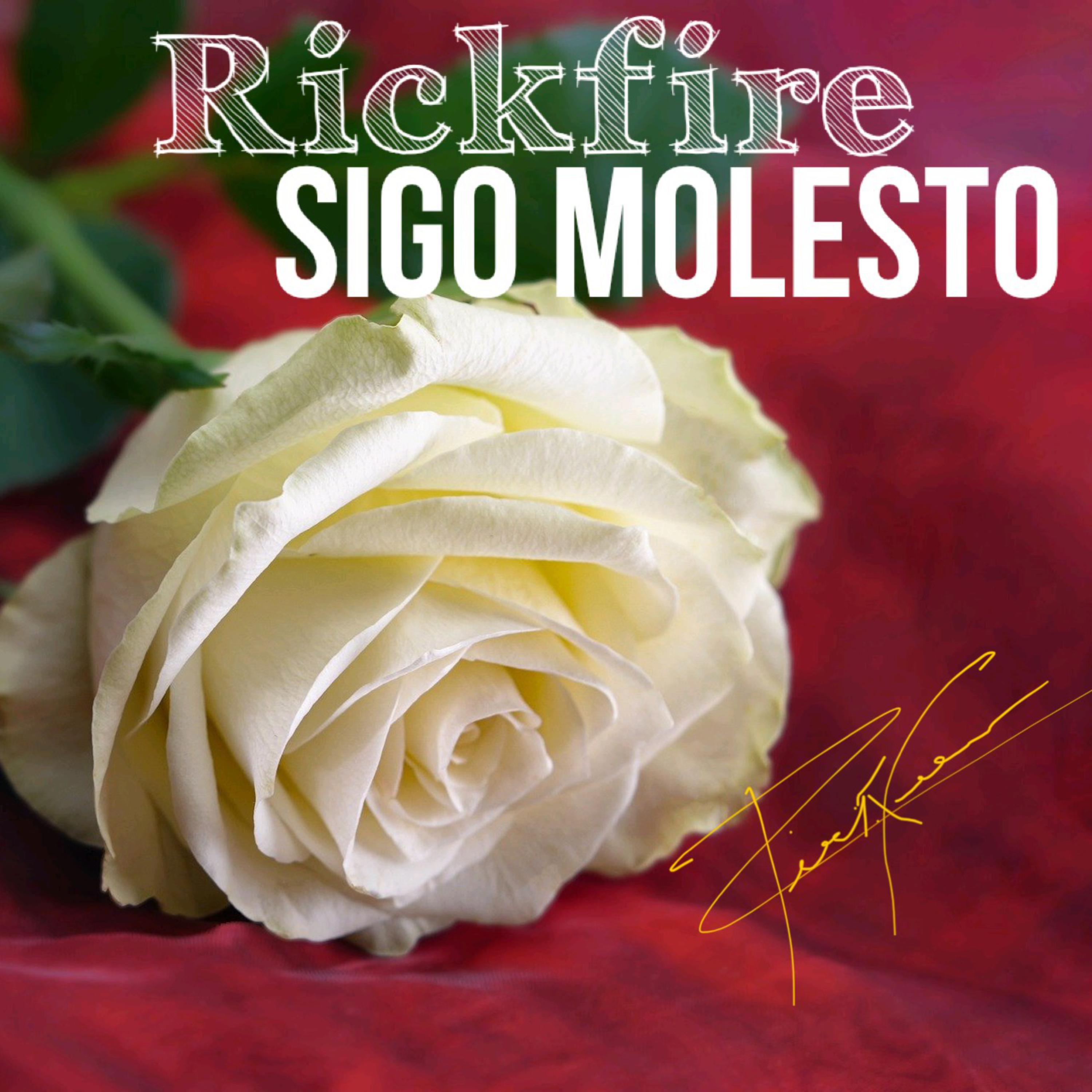 Sigo Molesto artwork