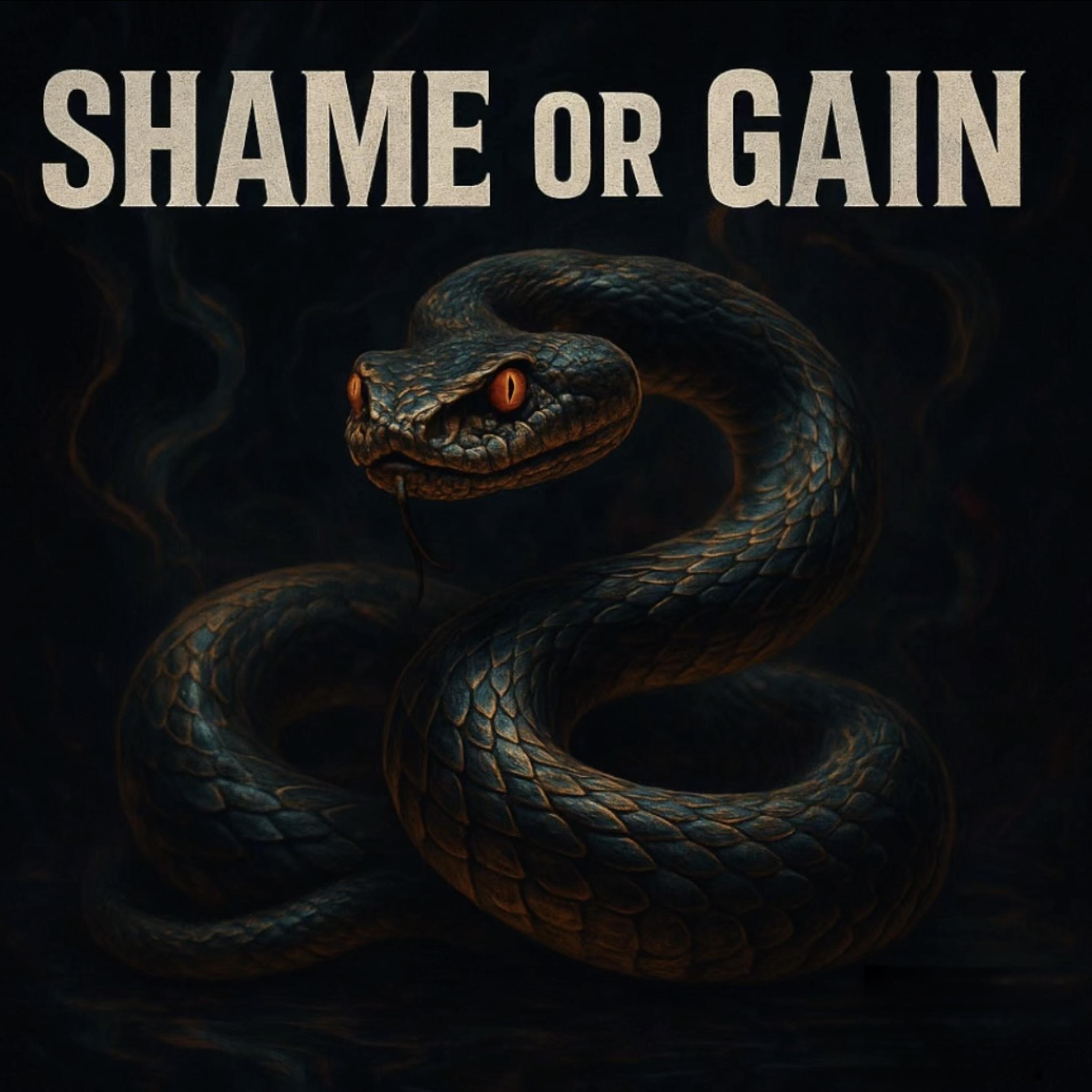 Shame Or Gain artwork