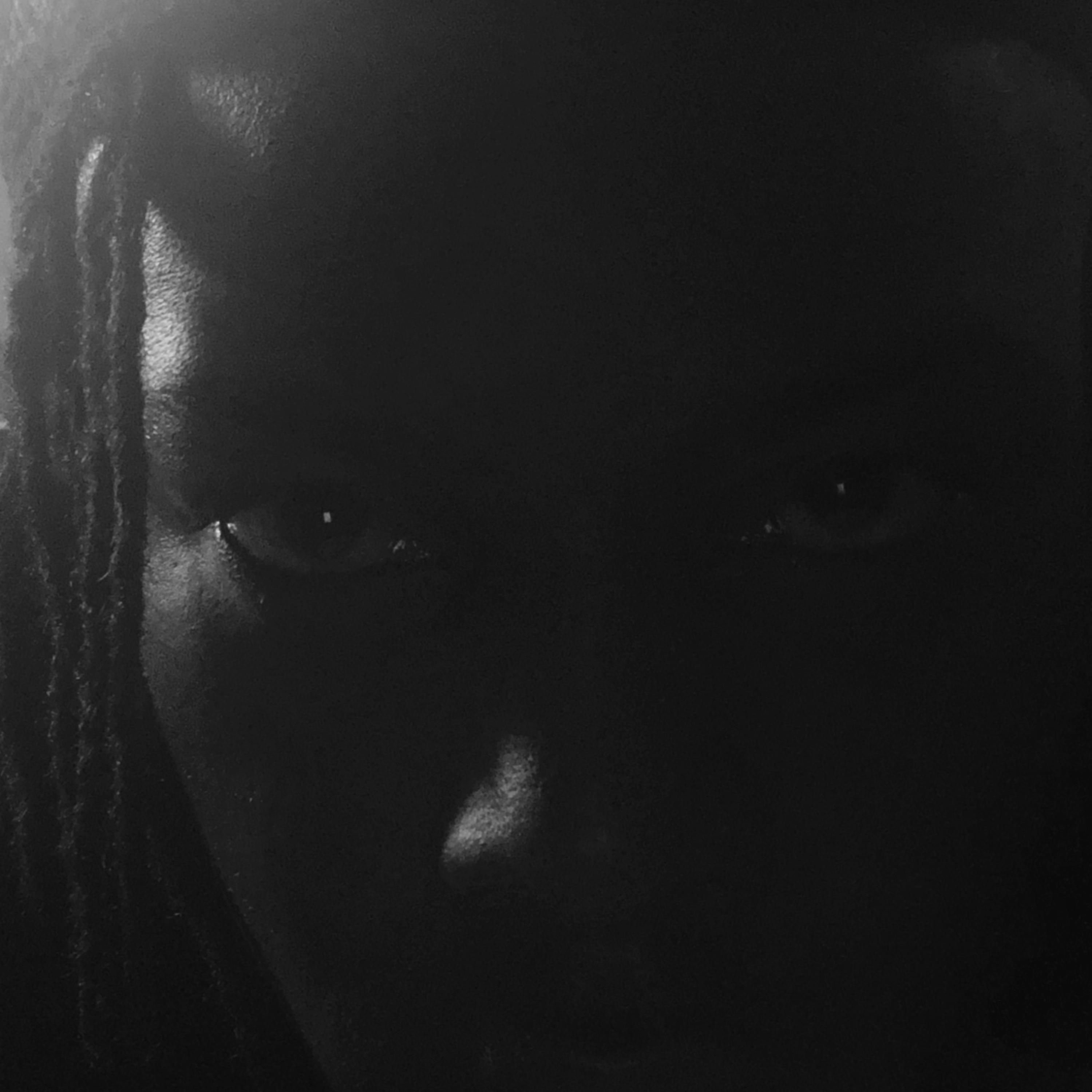 Government Shutdown 2025 artwork