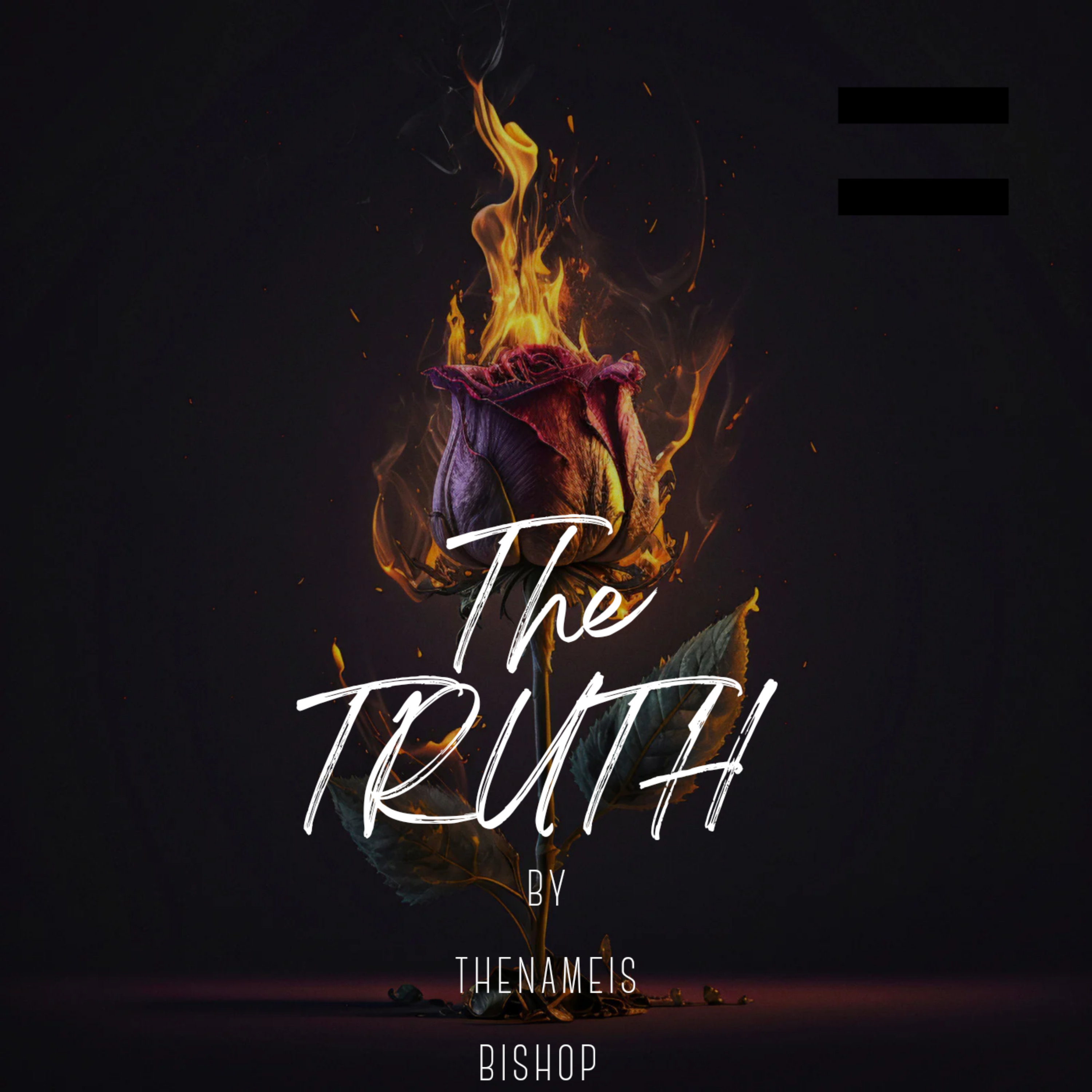 The TRUTH artwork