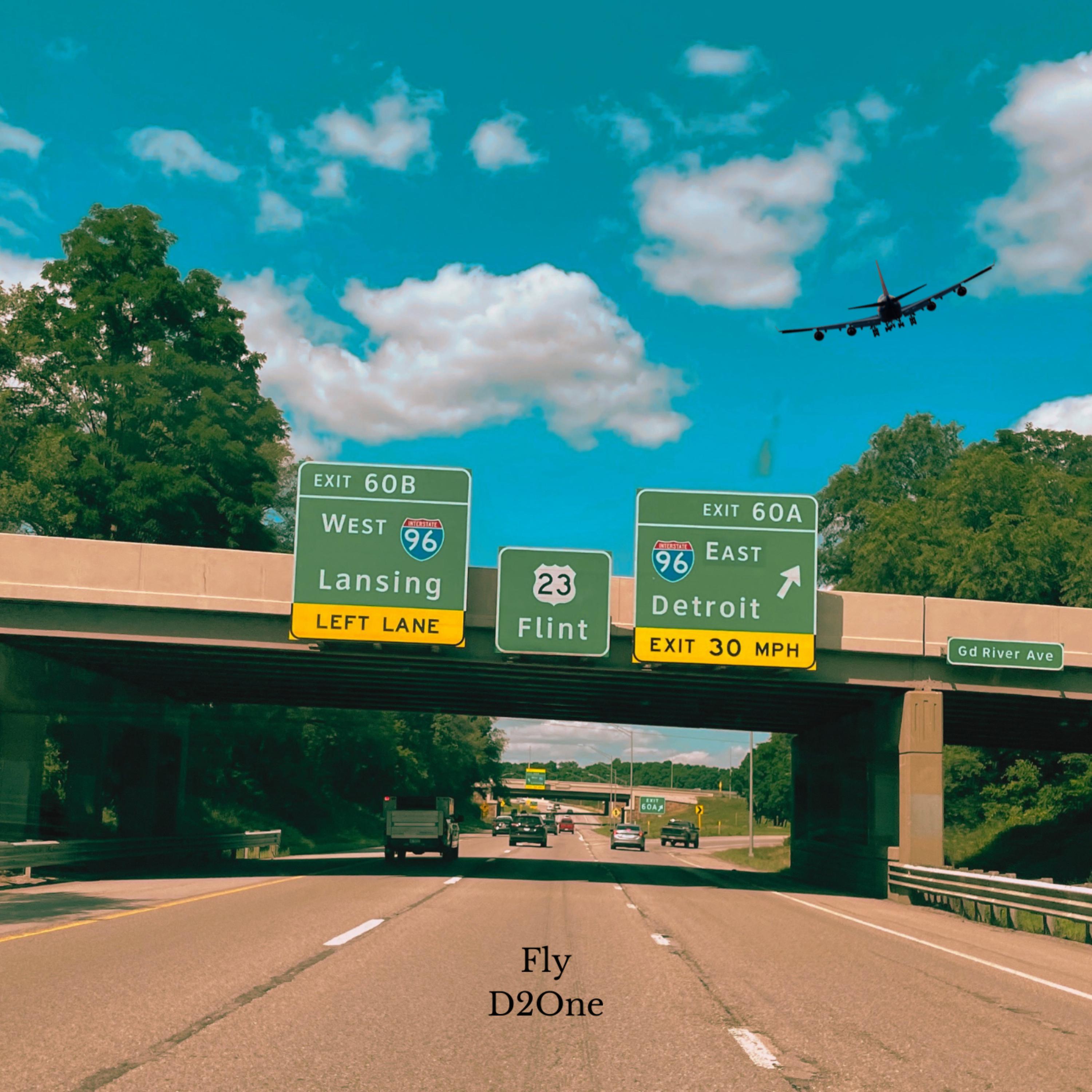 Fly (Deluxe) artwork
