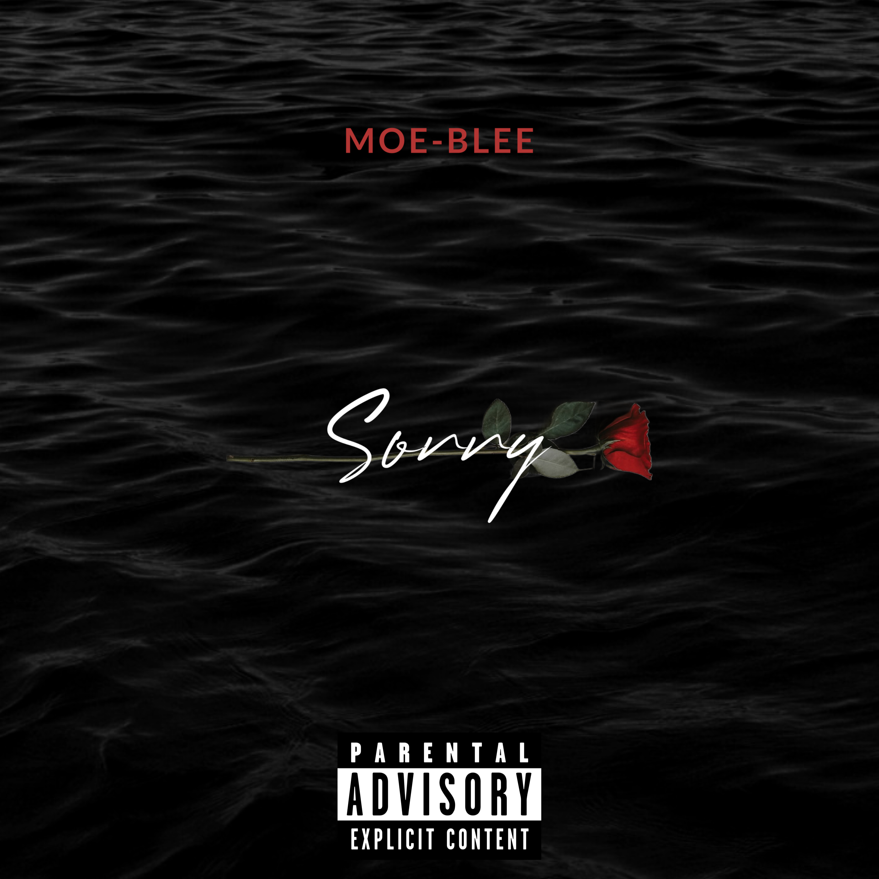 Sorry artwork
