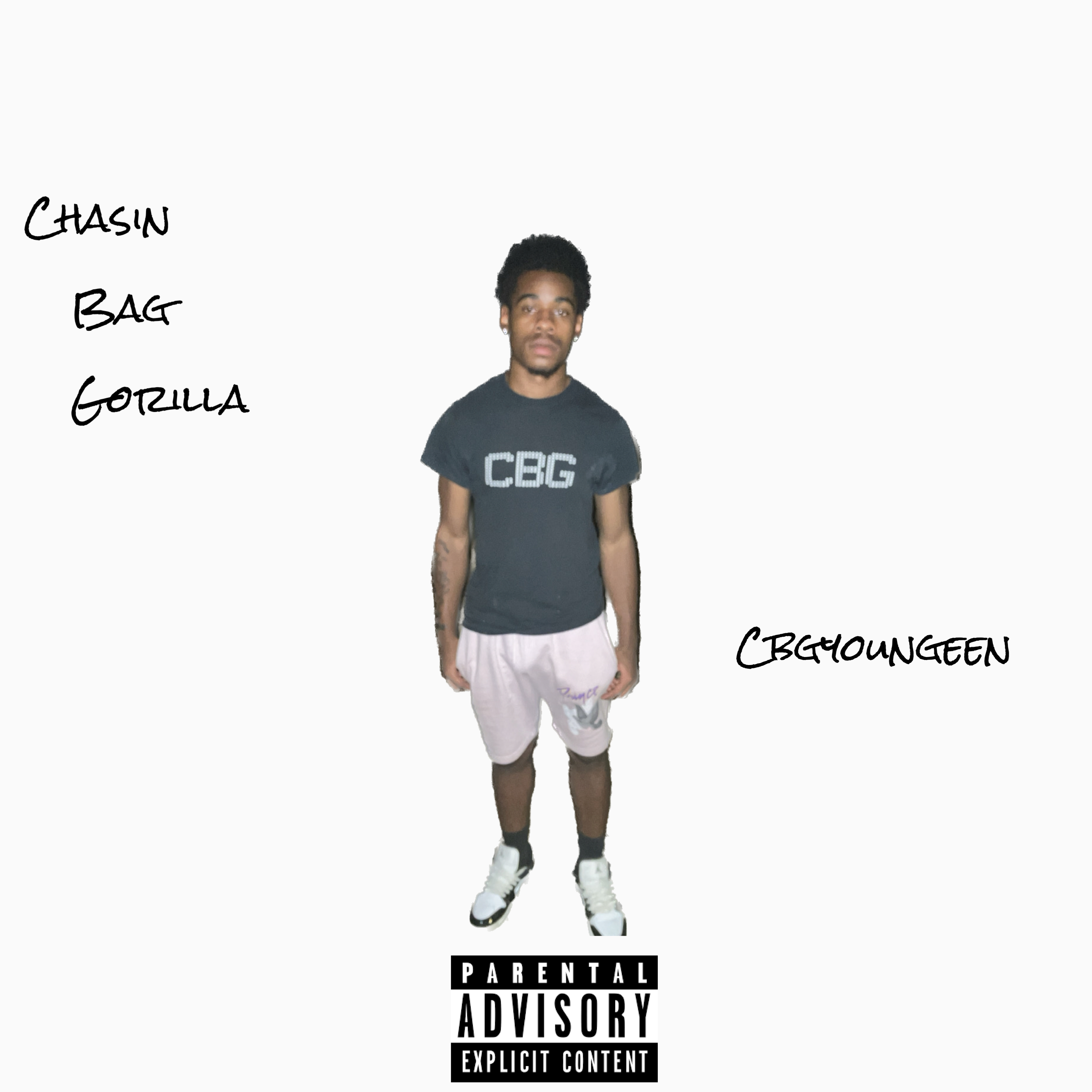Chasin Bag Gorilla artwork
