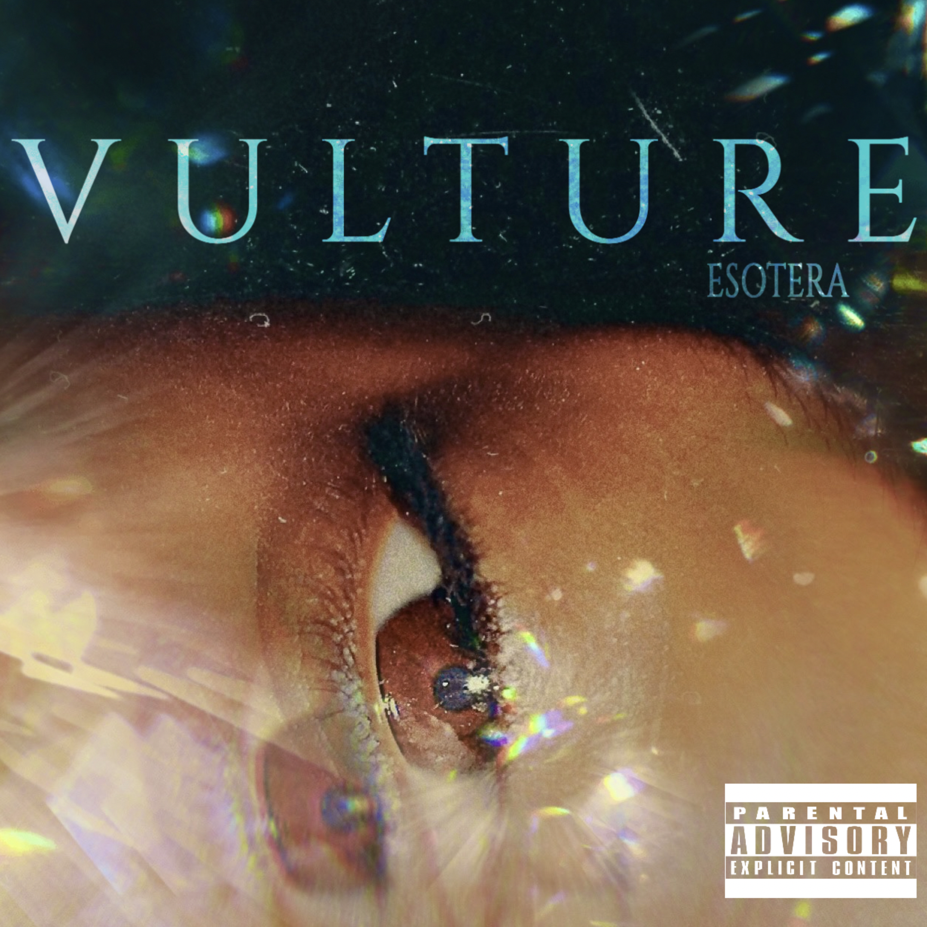 VULTURE by Esotera cover art
