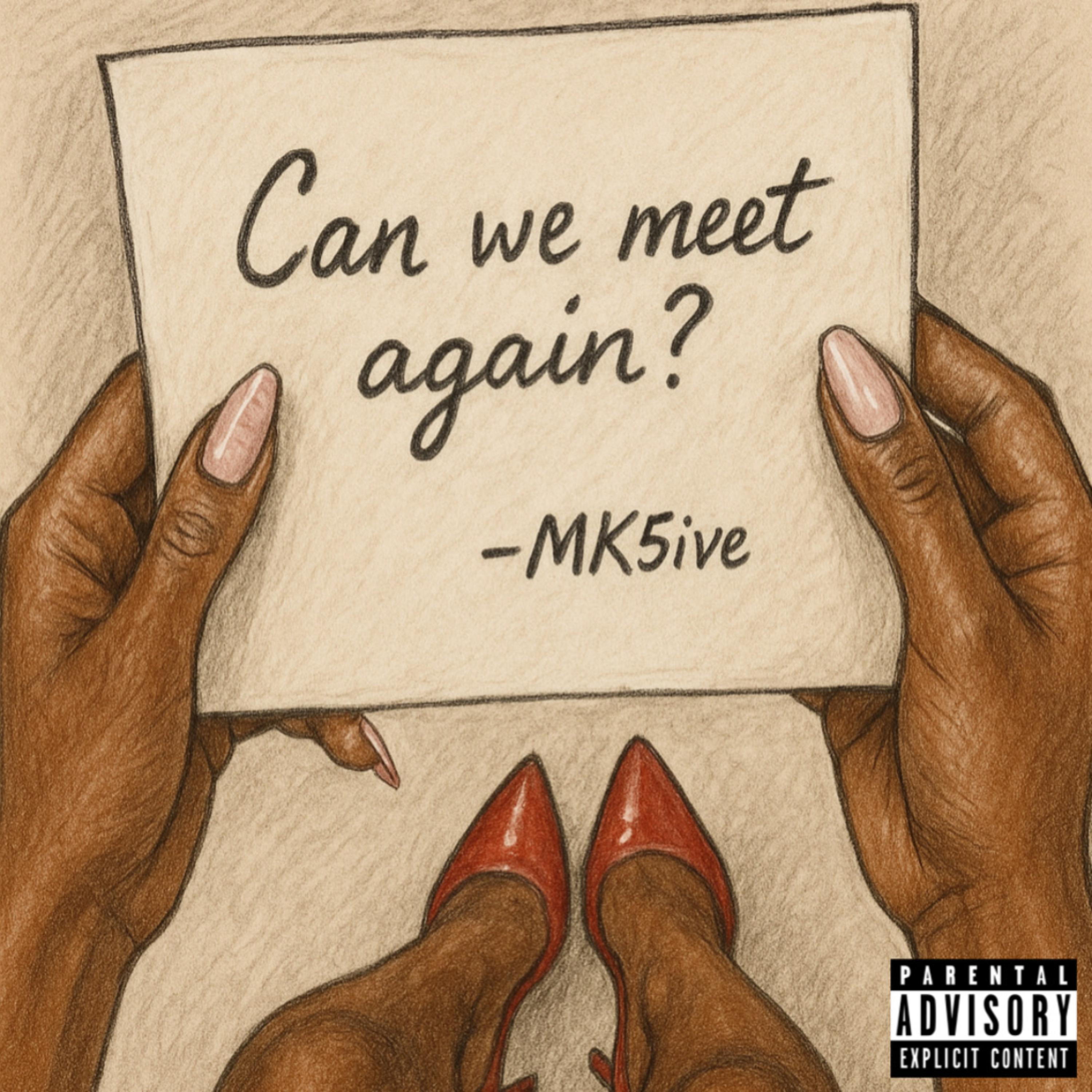 Can We Meet Again? artwork