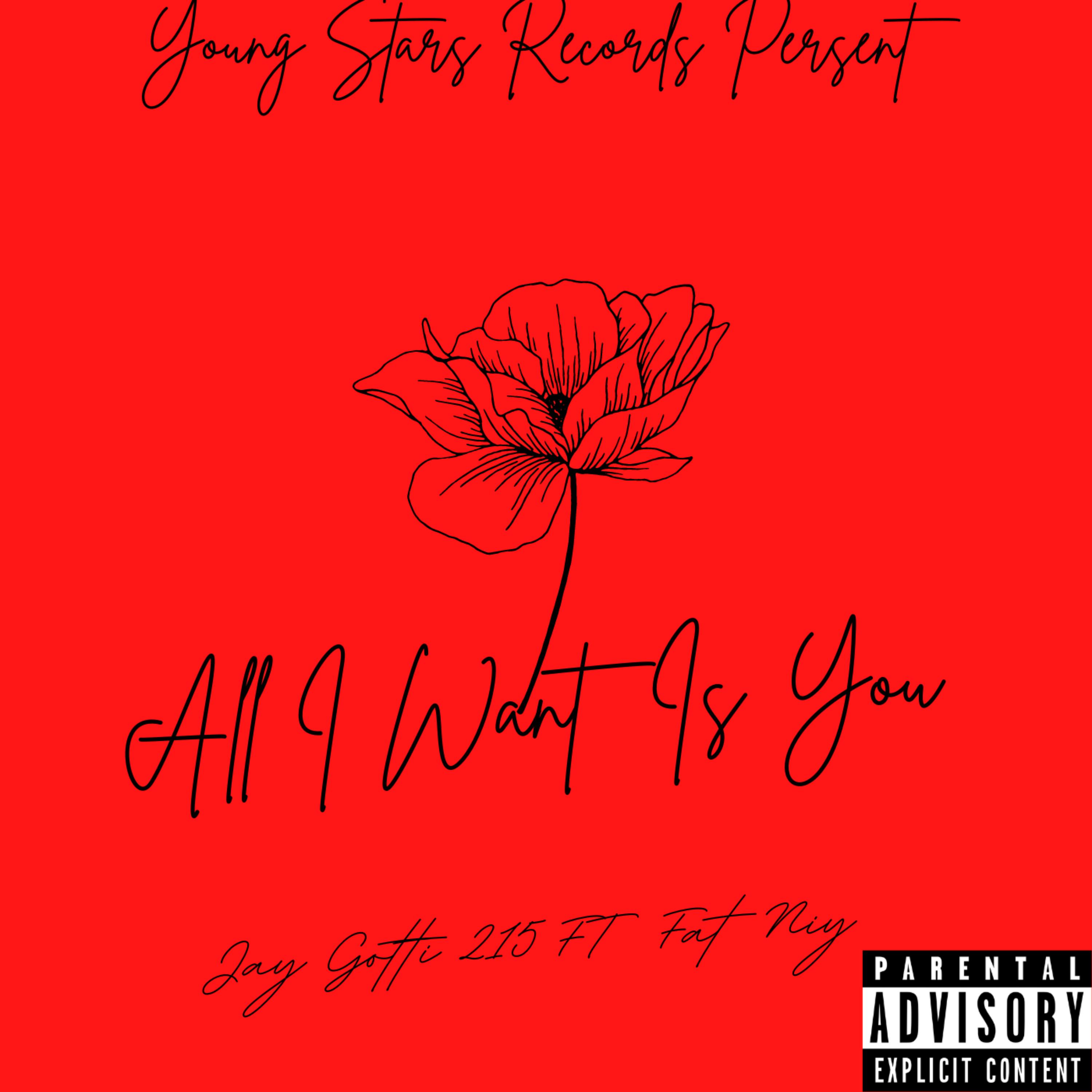 All I Want Is You by Jay Gotti 215 cover art
