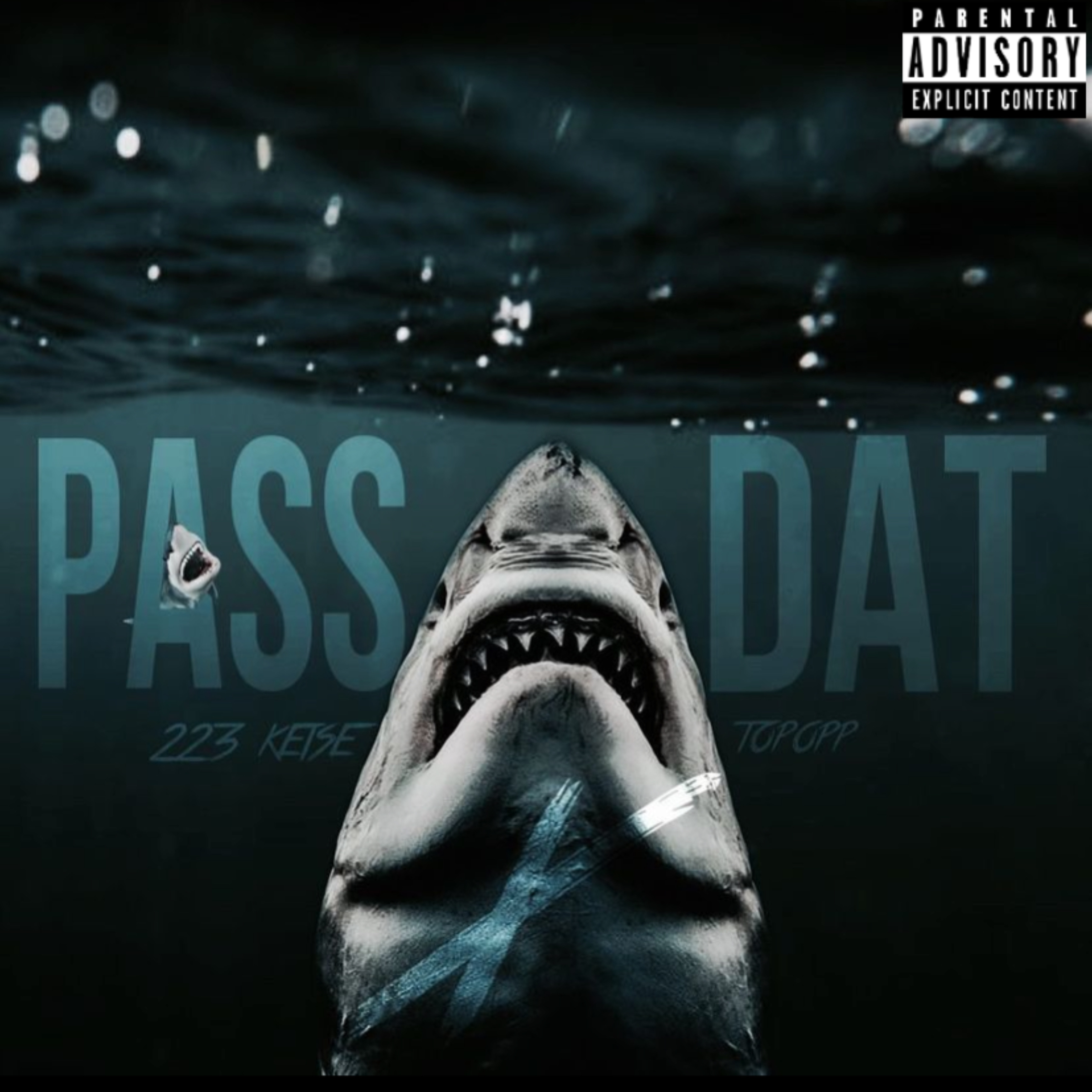 Pass Dat artwork