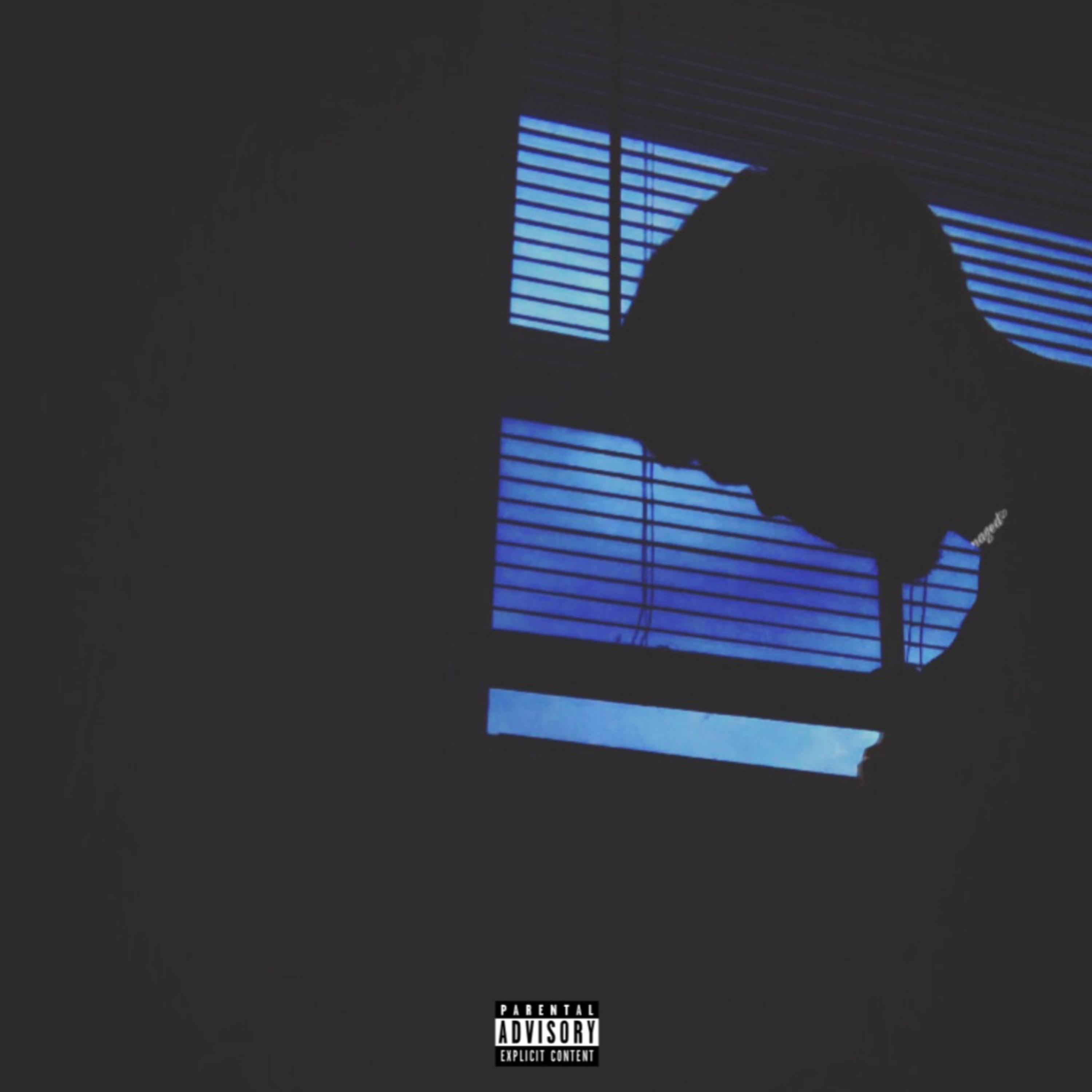 Poetic Pain artwork