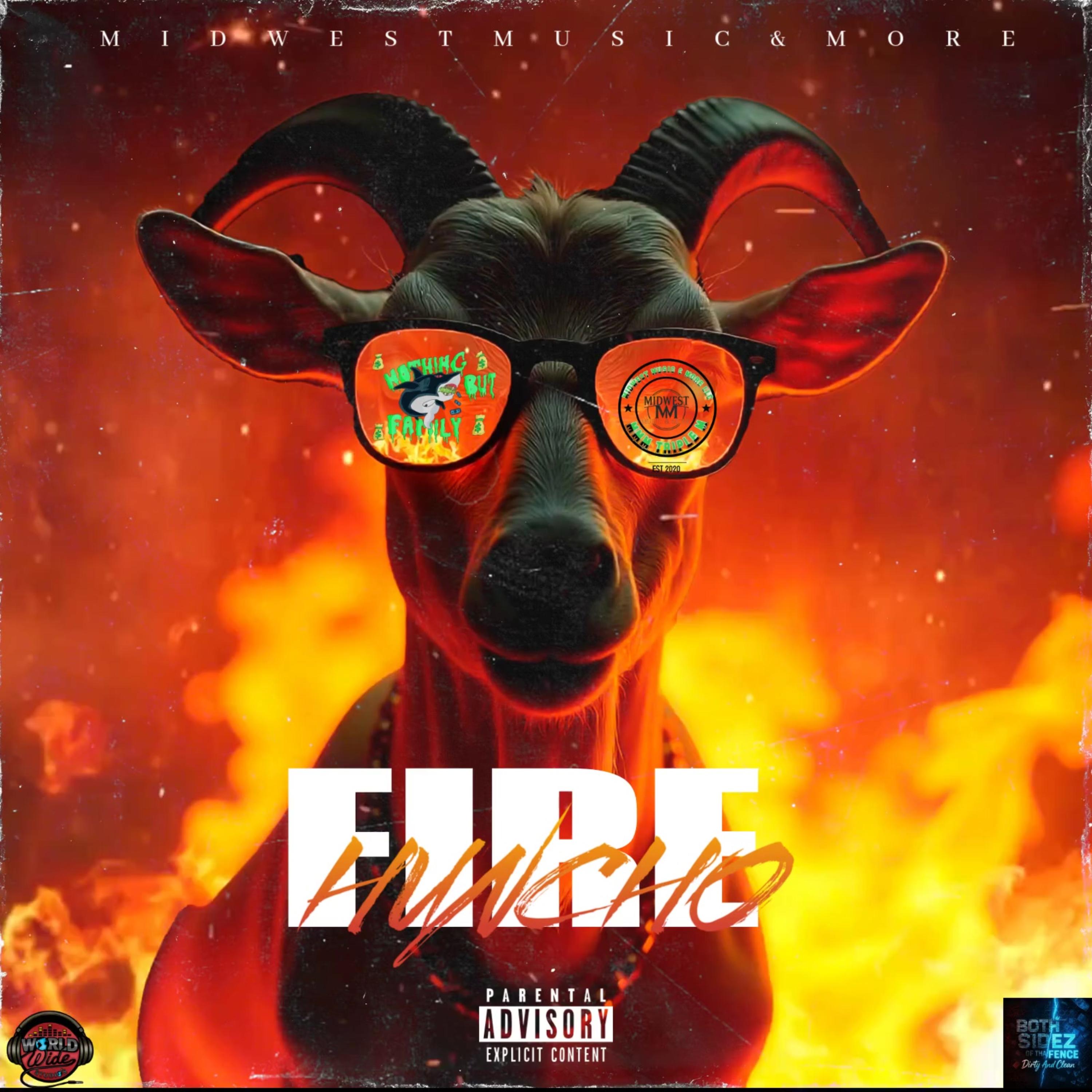 FIRE artwork