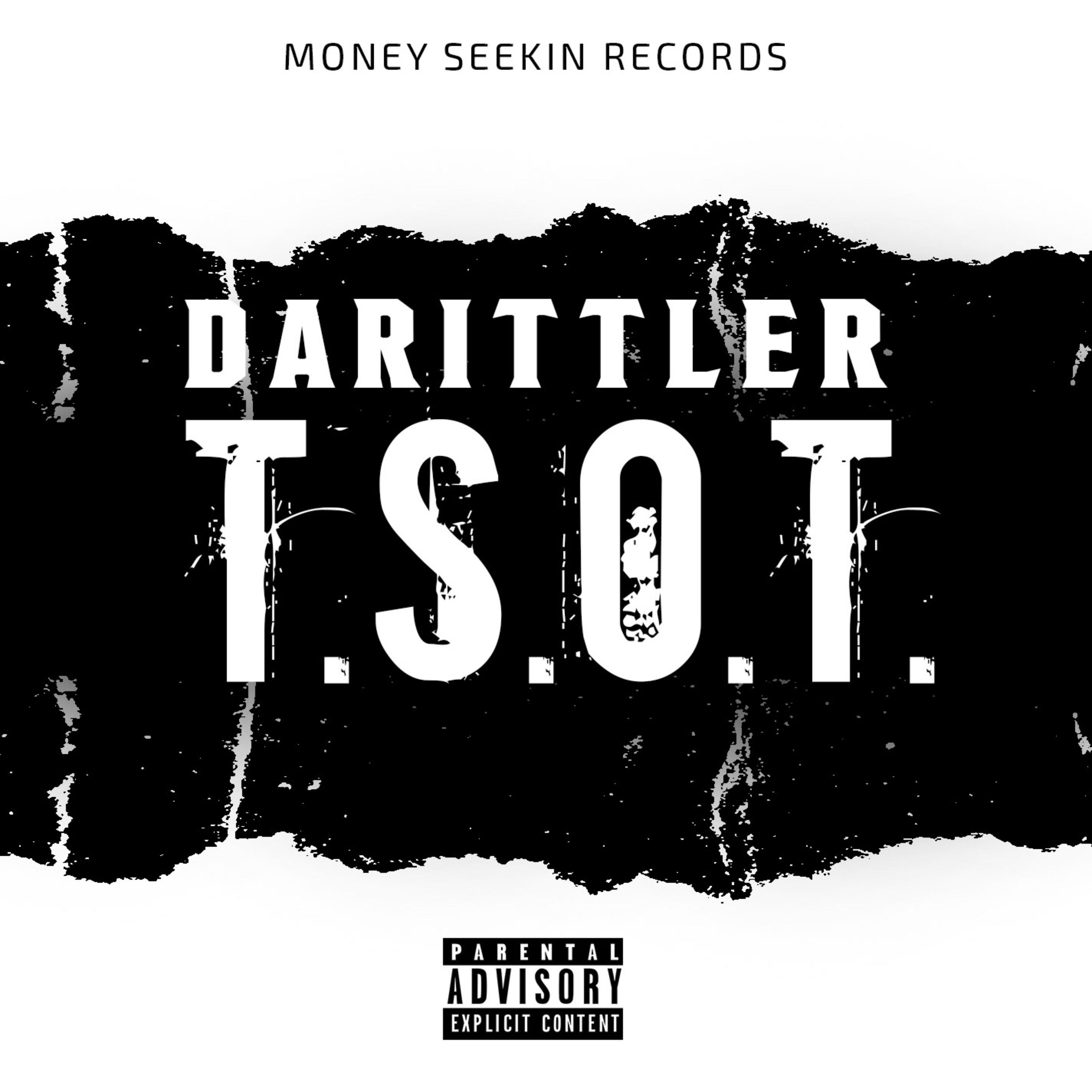 T.S.O.T. by Darittler cover art