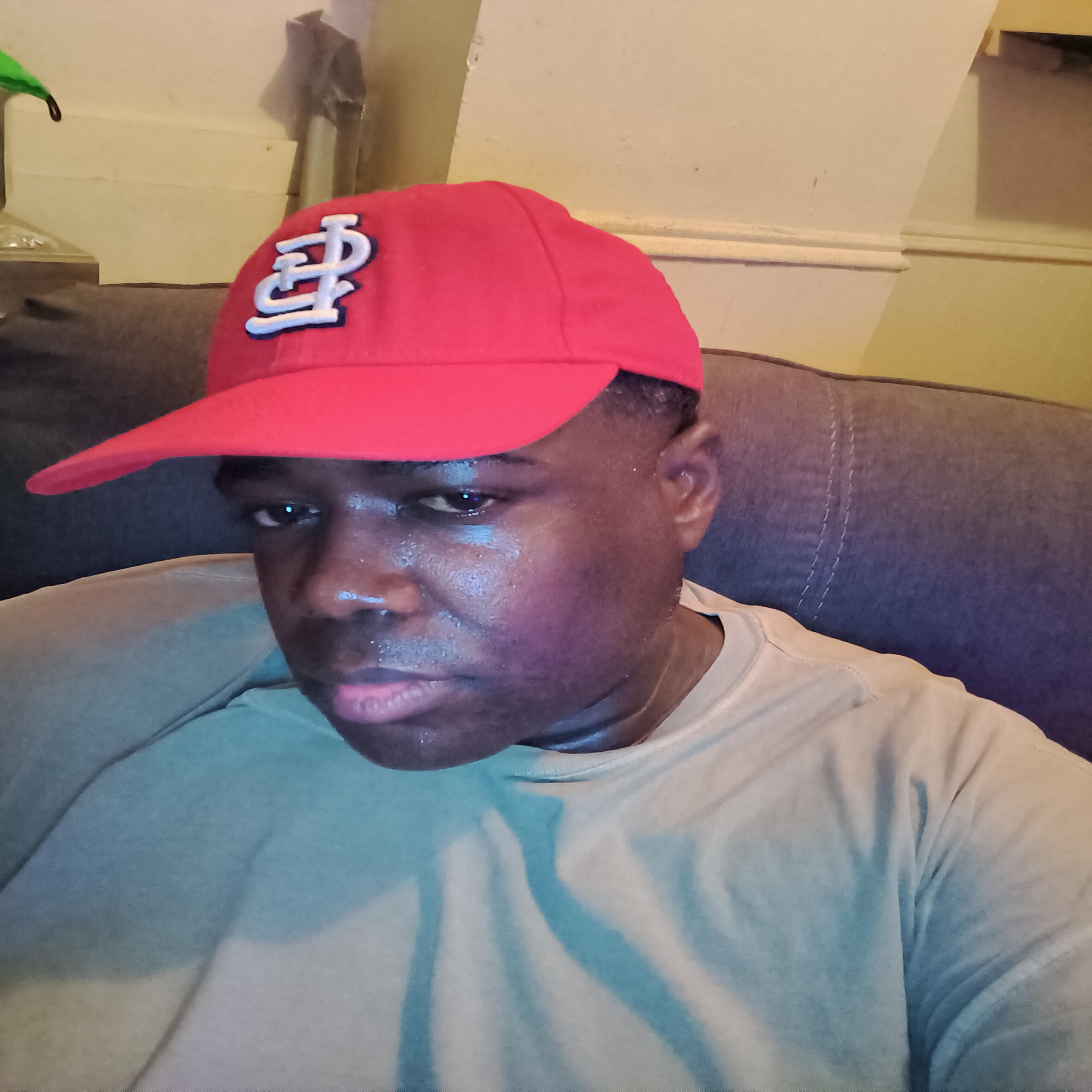 Saint Louis MO artwork