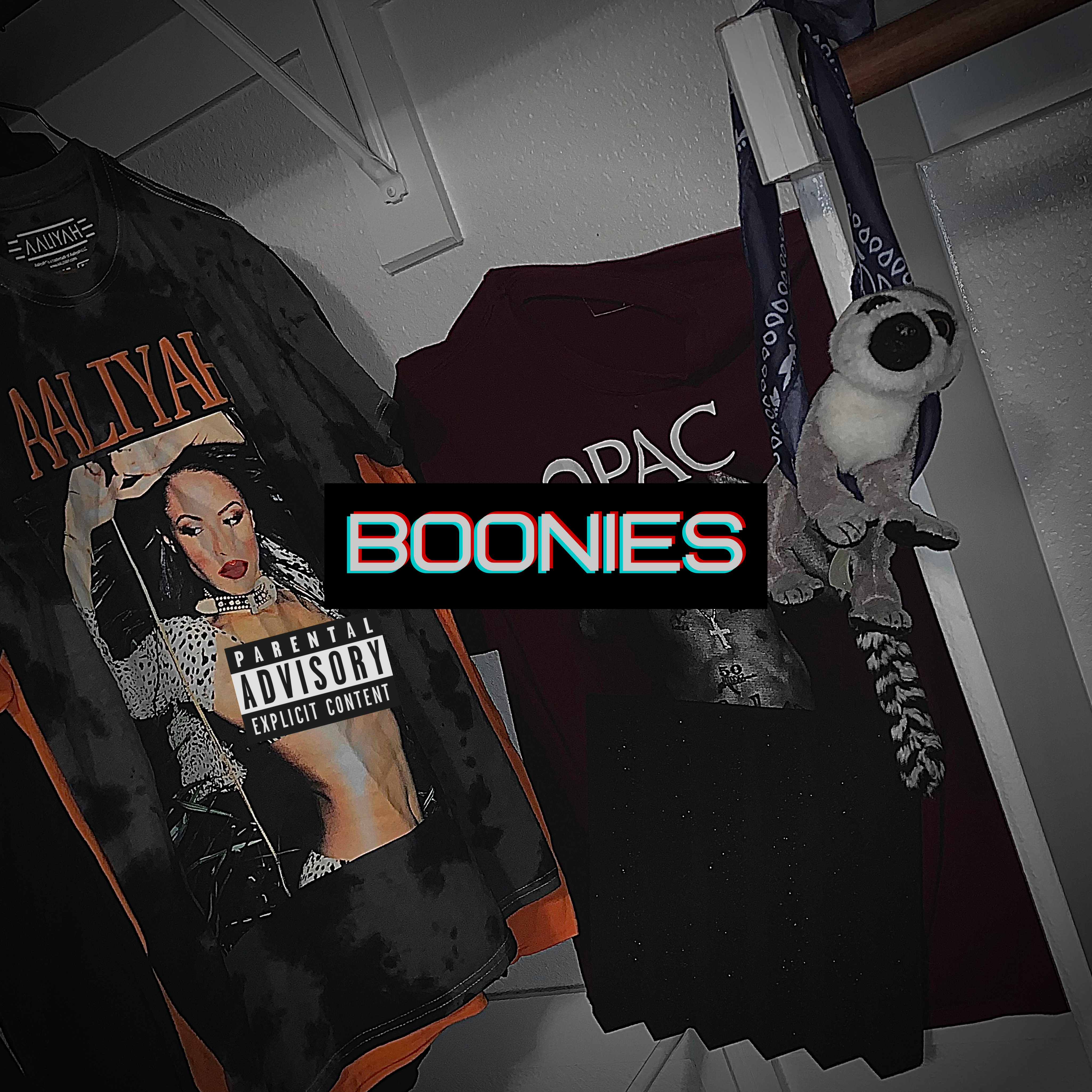 BOONIES (Freestyle) by MIGGY!!! cover art