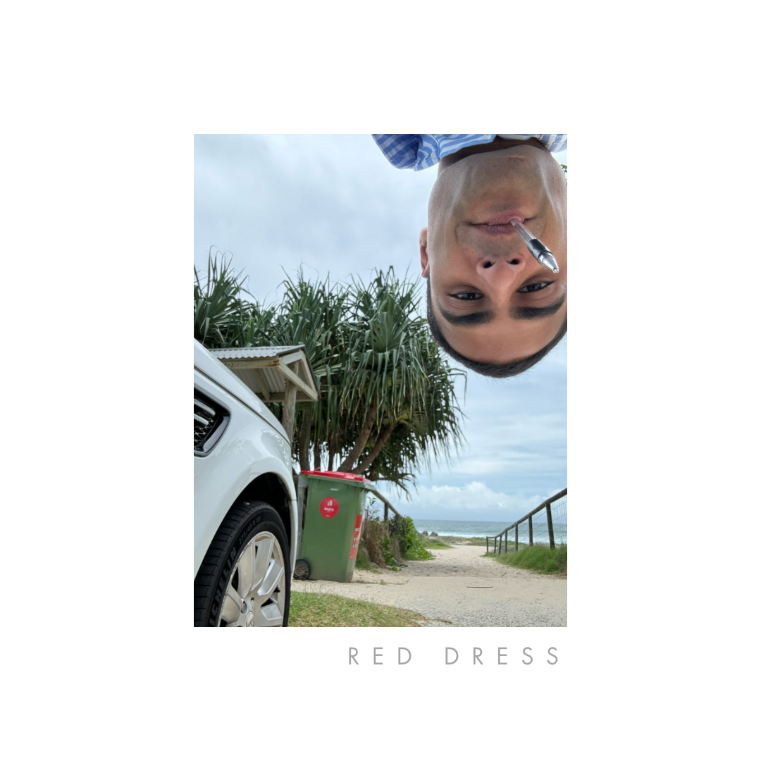 Red Dress artwork