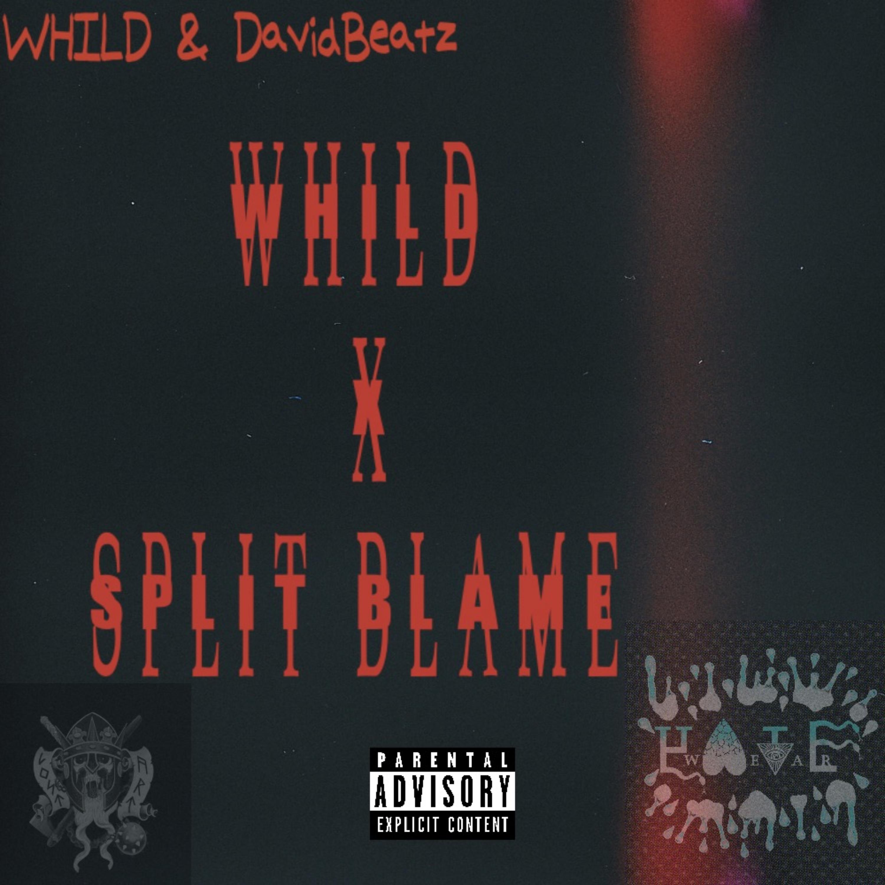Split Blame artwork