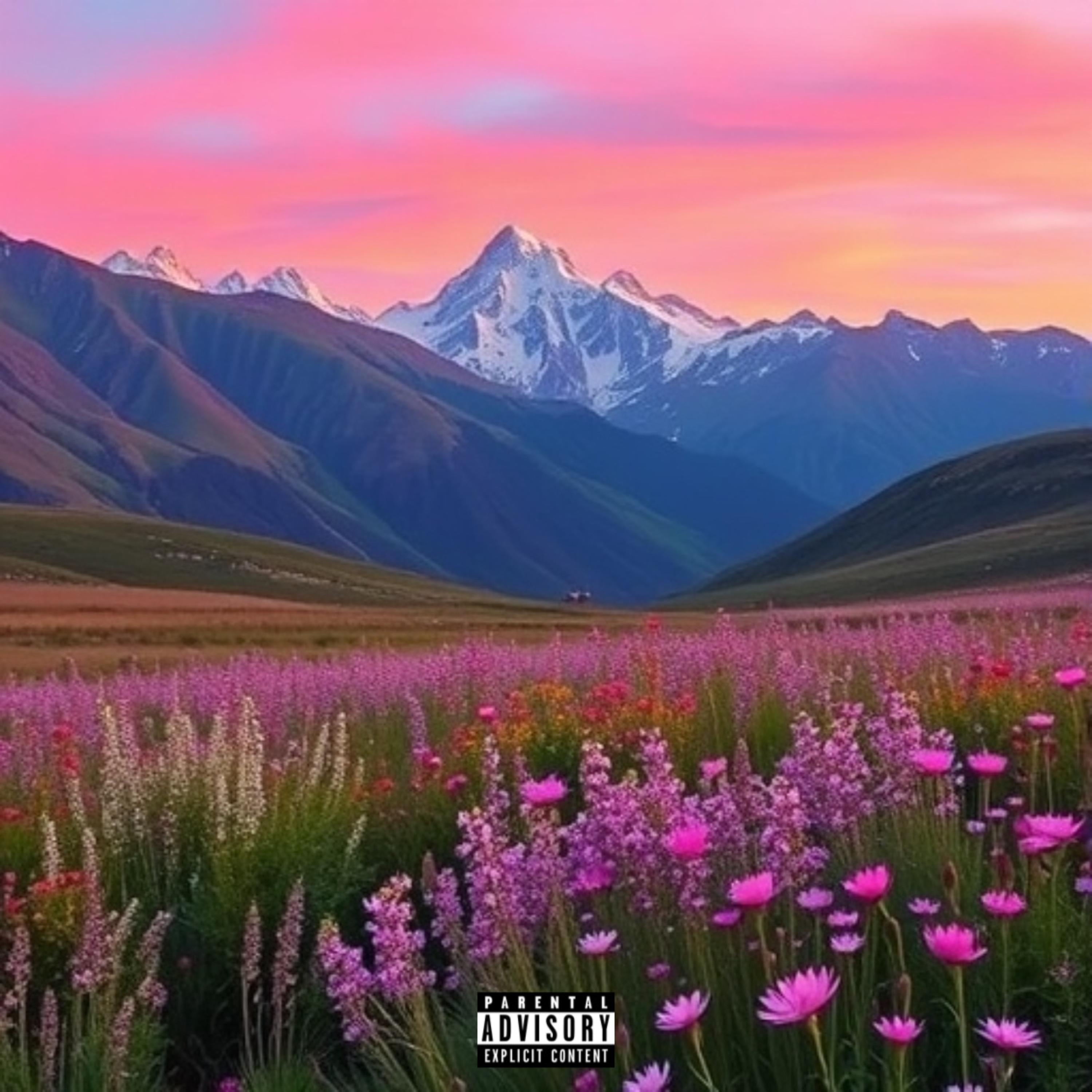 MEADOW MUSIC artwork