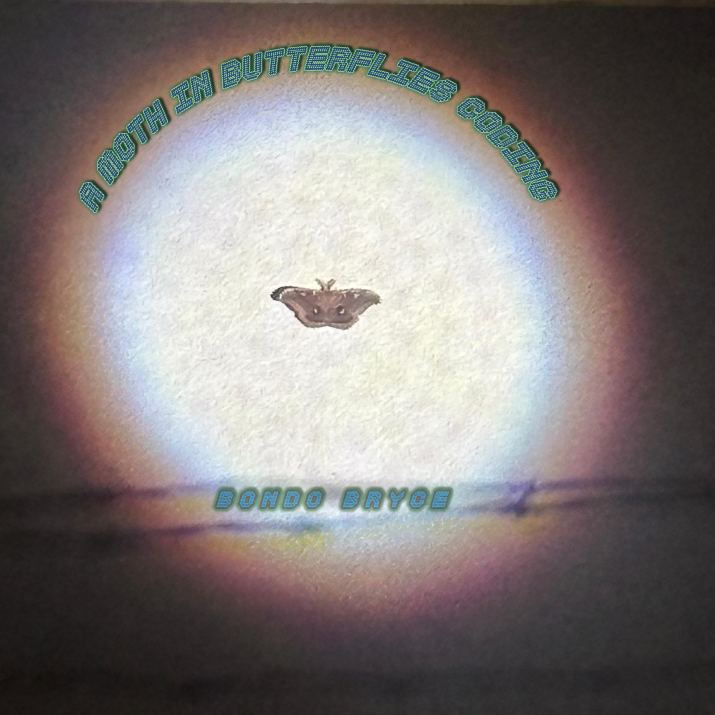 A Moth In Butterflies Coding by Bondo Bryce cover art