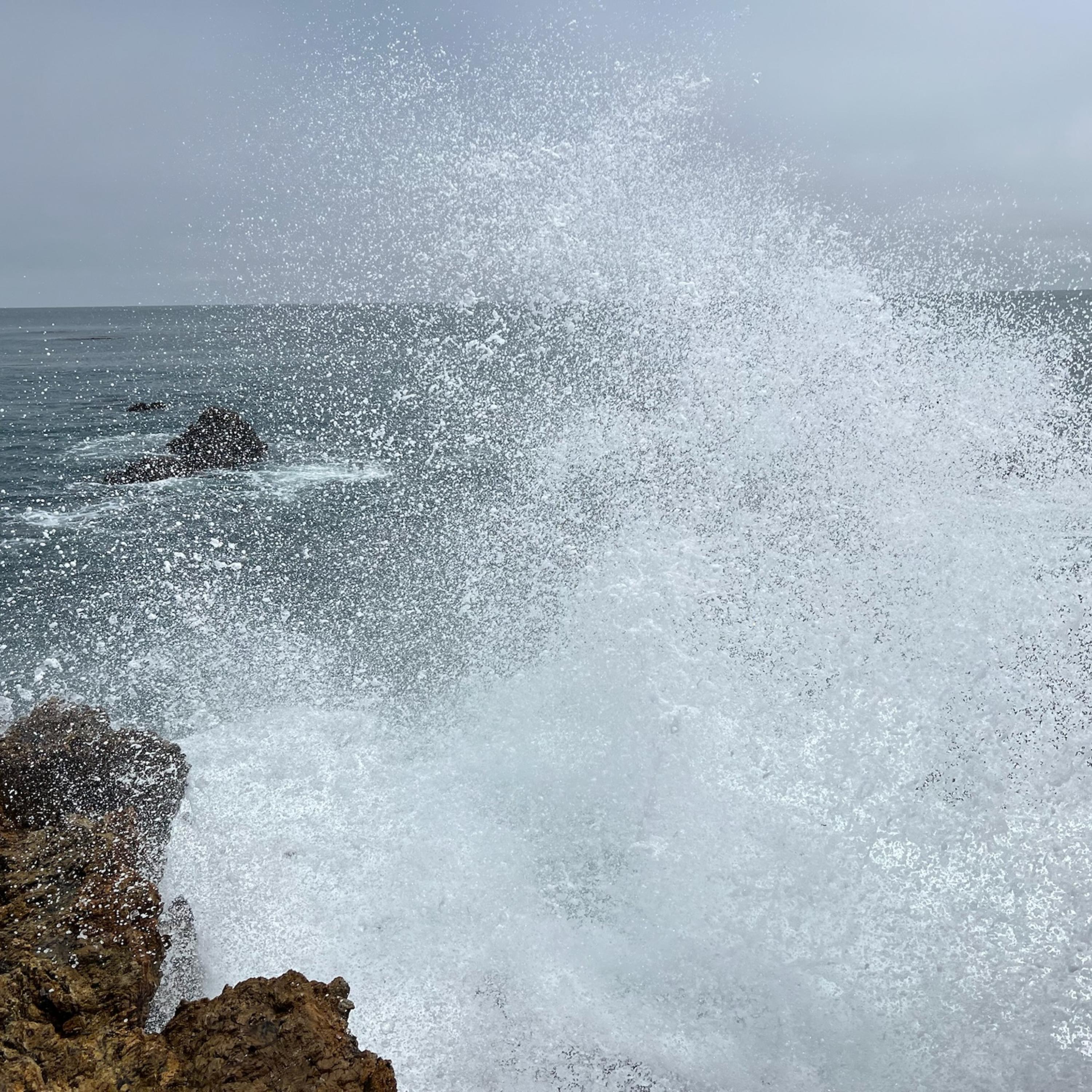 Actively Living artwork