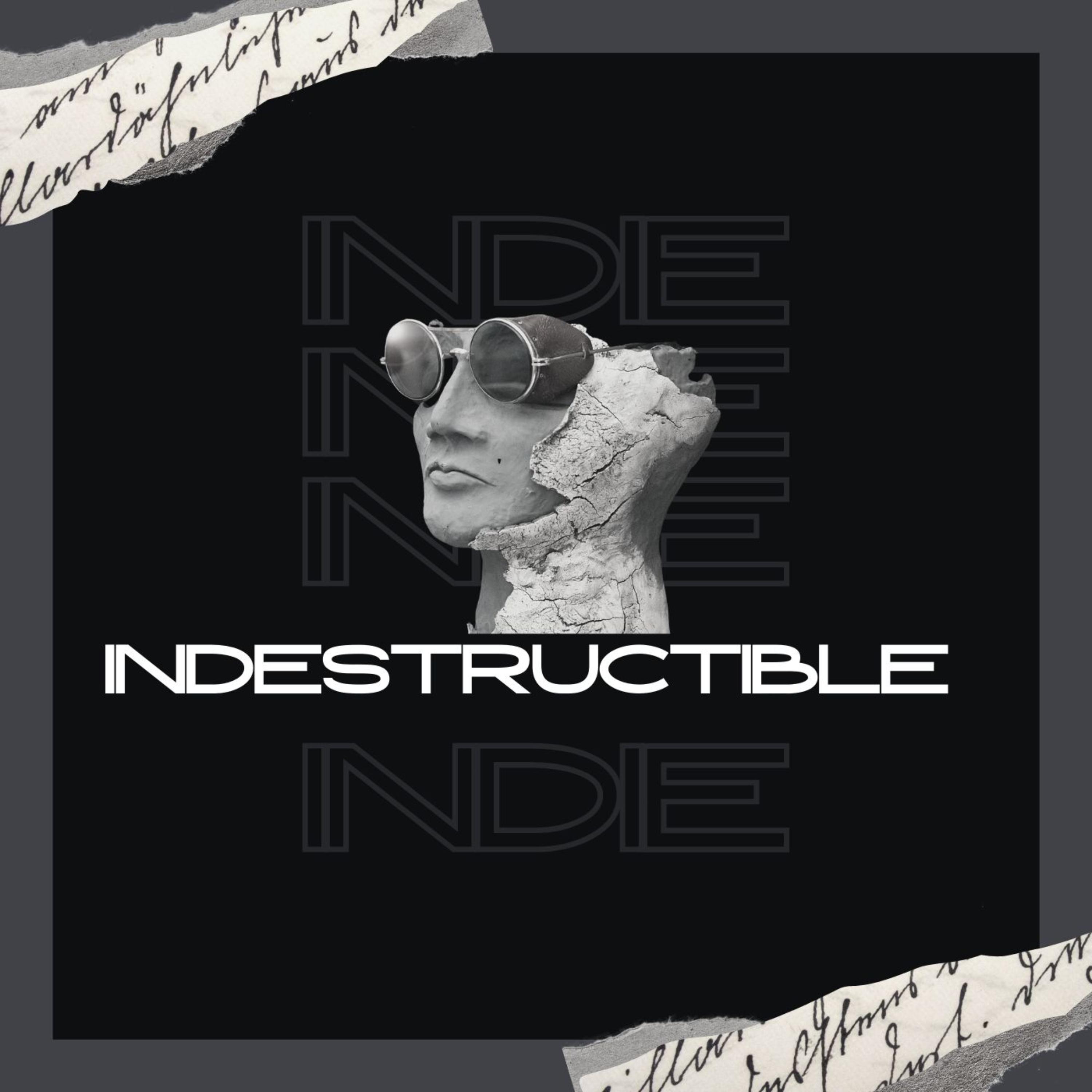 INDESTRUCTIBLE artwork